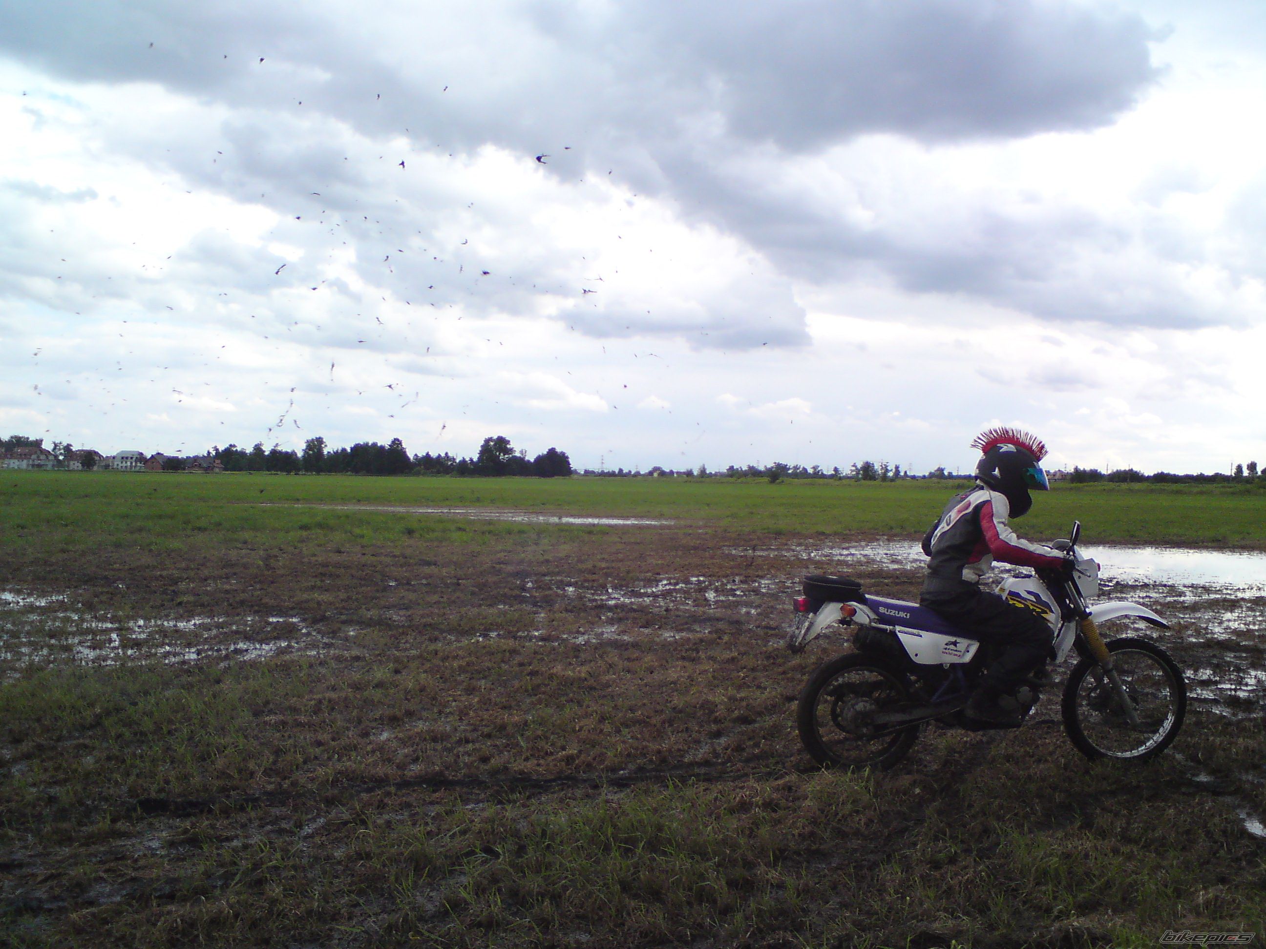 Photo 1731648