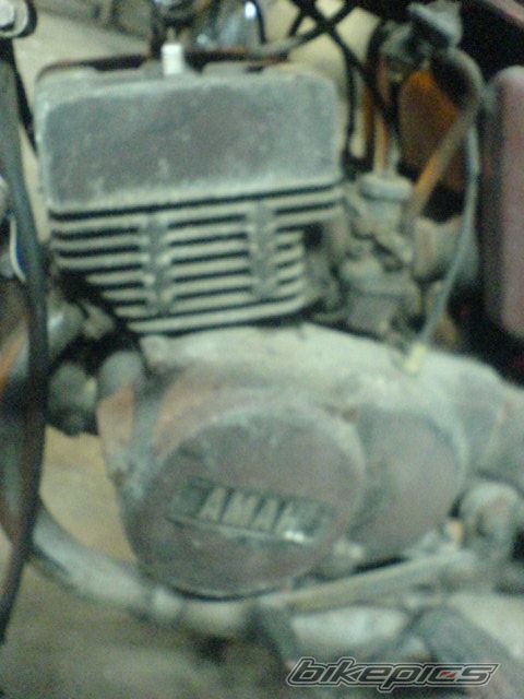 Photo 1731663