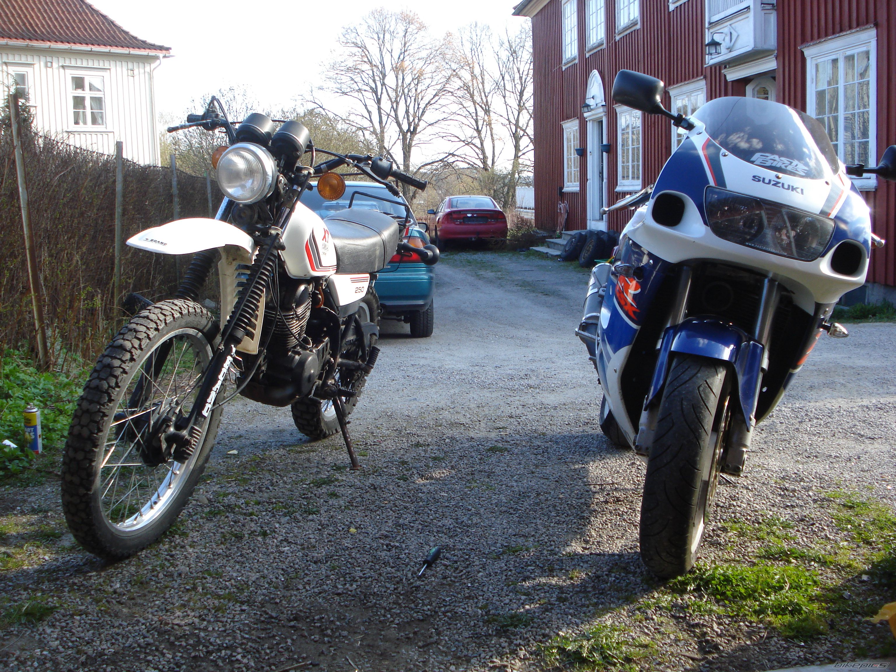 Photo 1731813