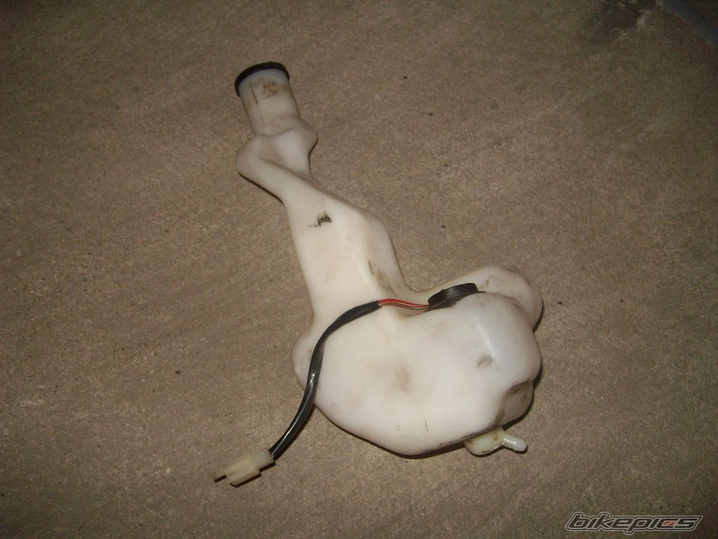 Photo 1731843