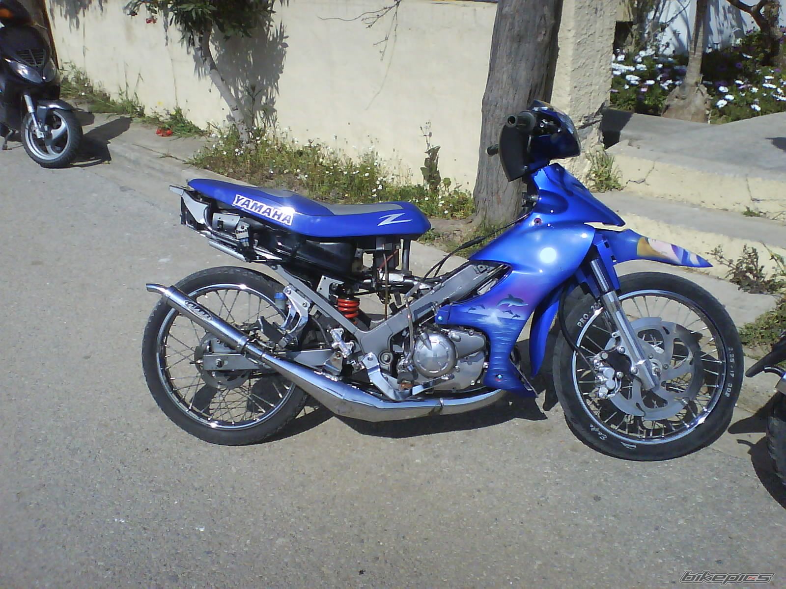 Photo 1731928