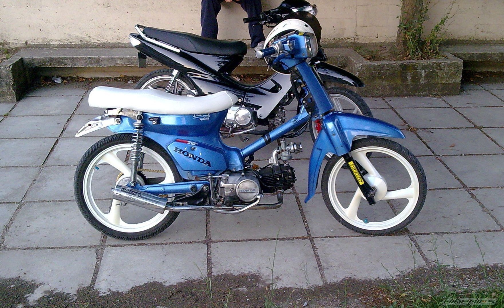 Photo 1731966