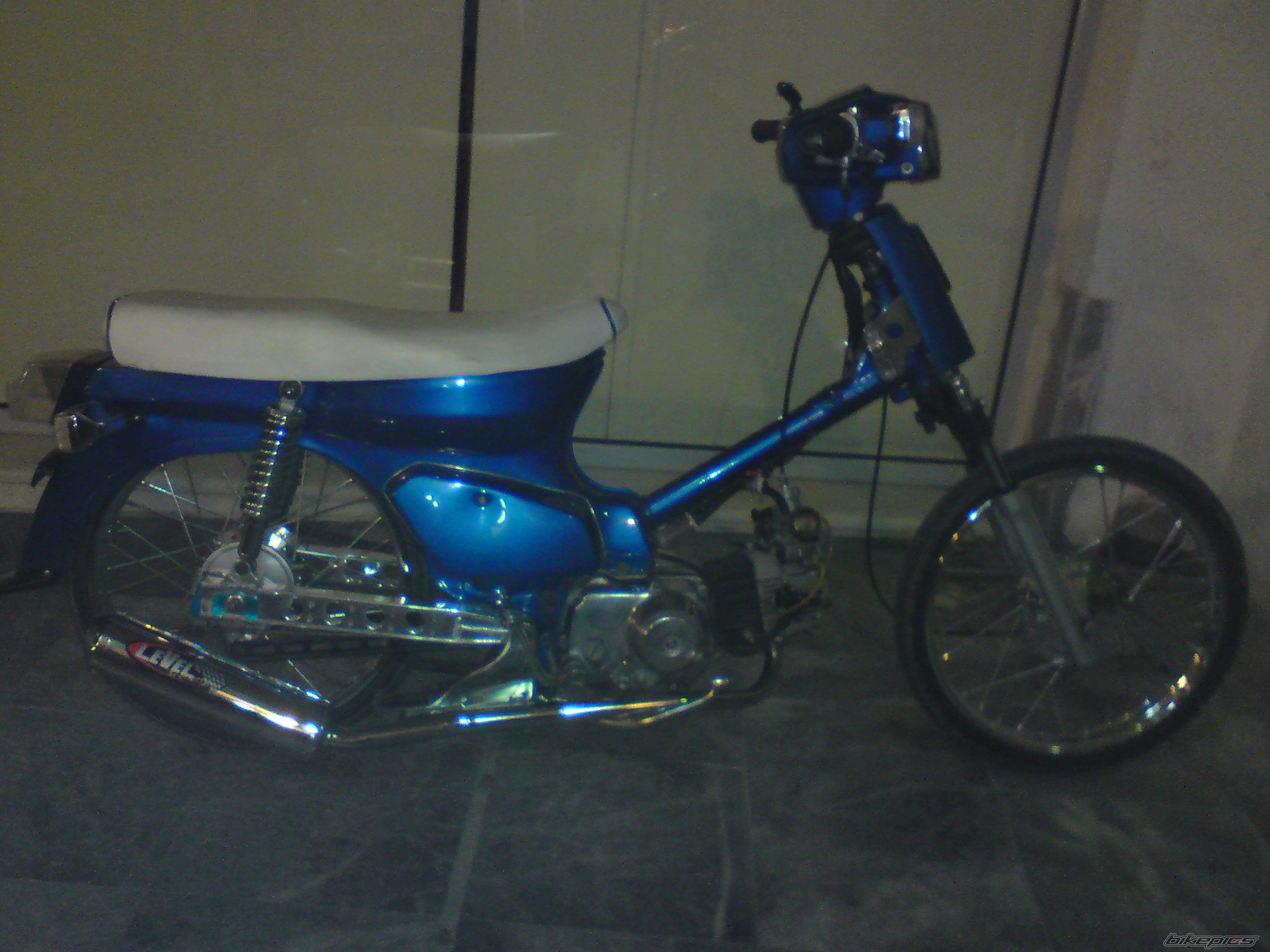 Photo 1731977