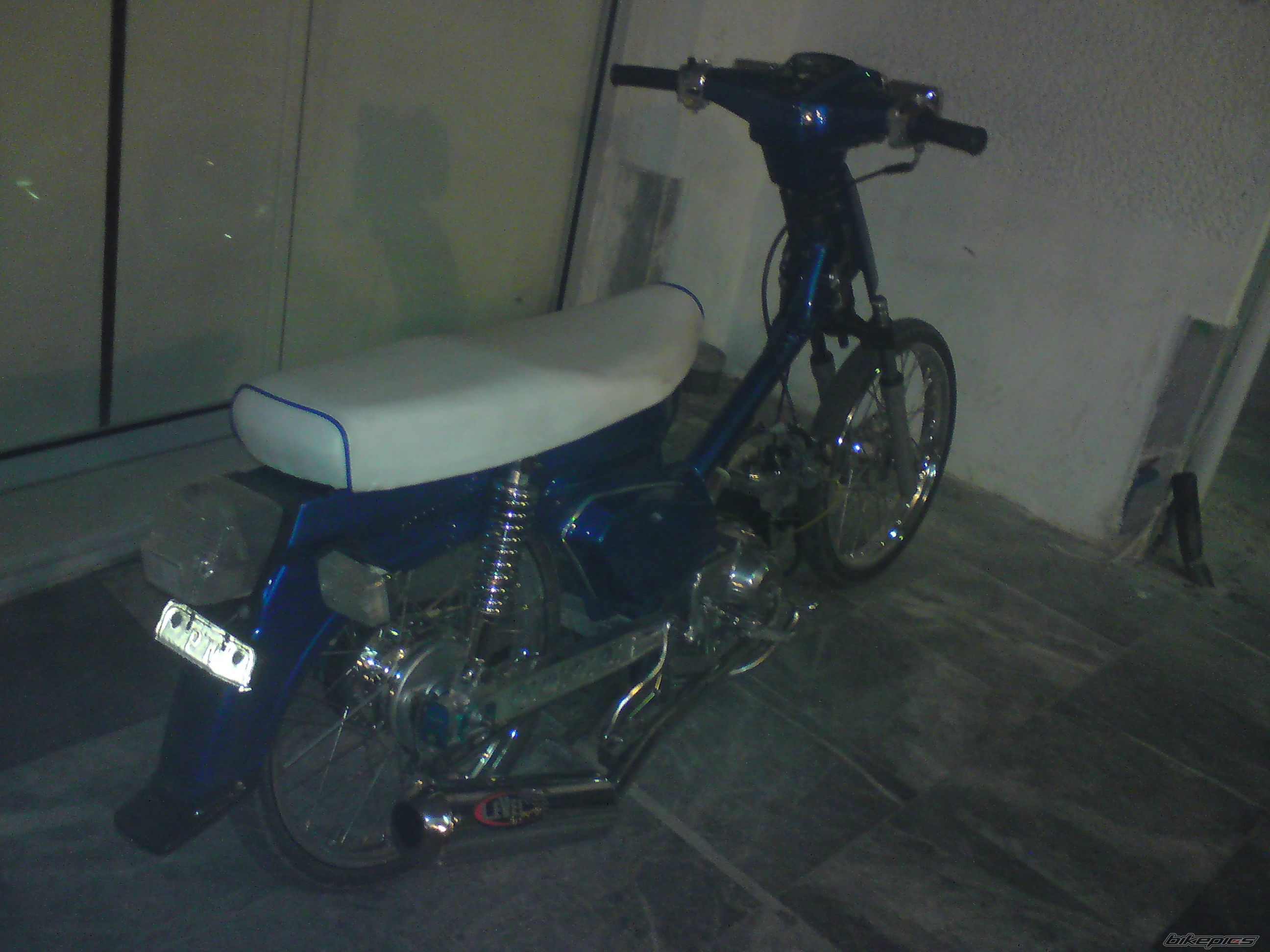 Photo 1731978
