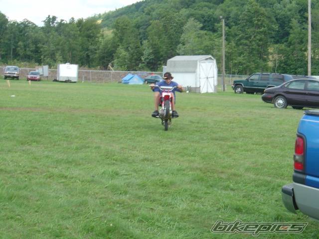 Photo 173204