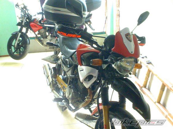 Photo 1732045