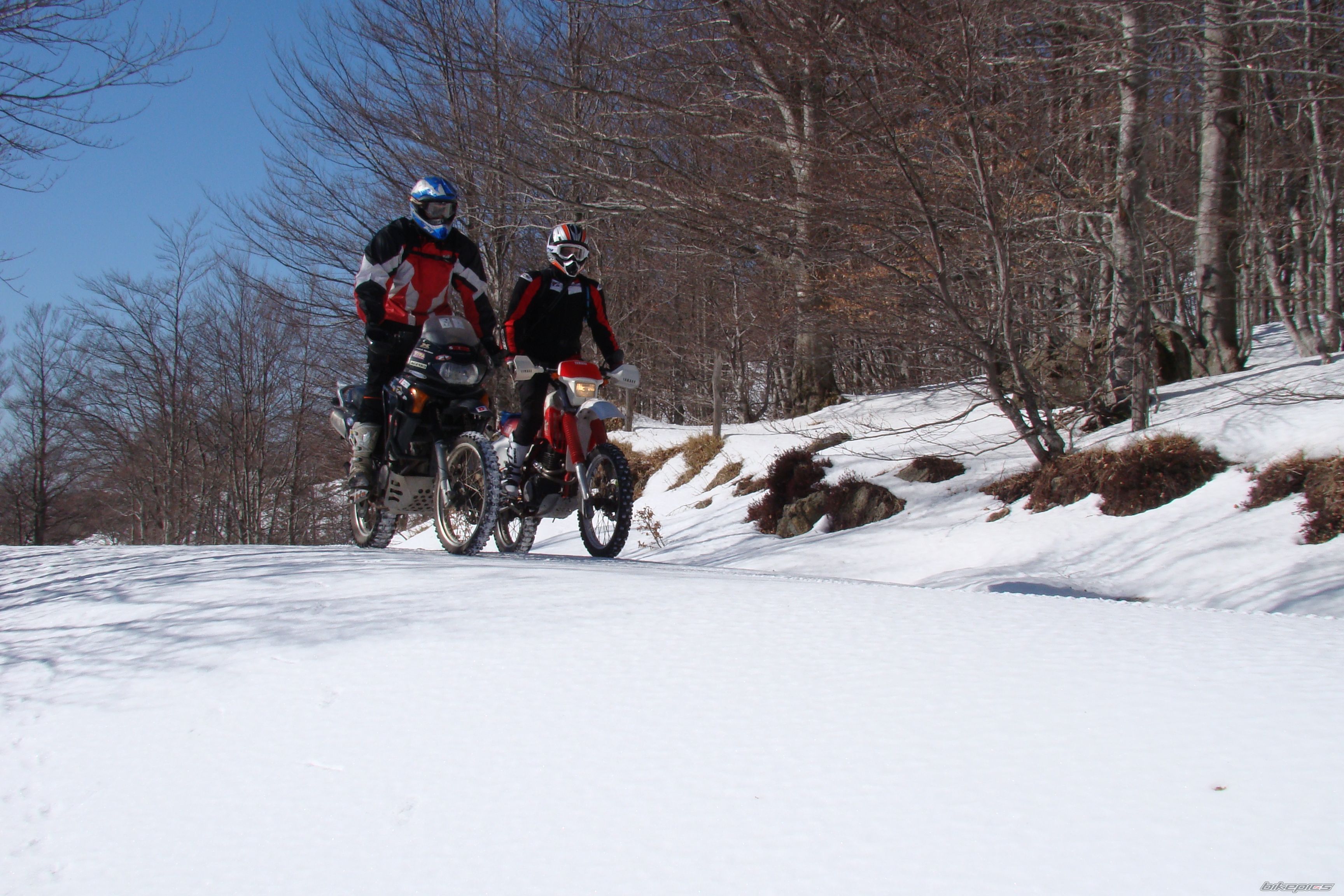 Bike Photo 1732207