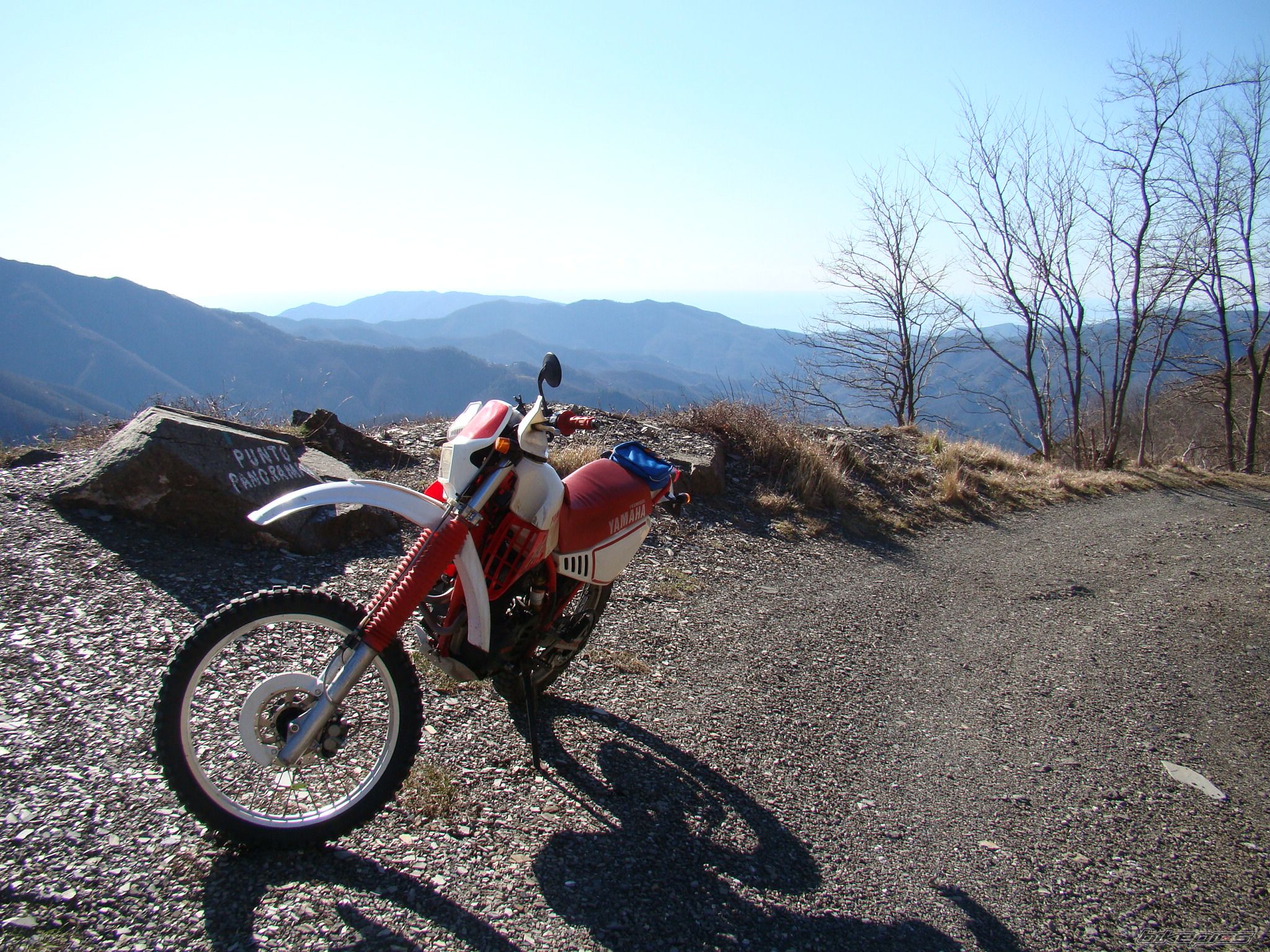 Photo 1732211