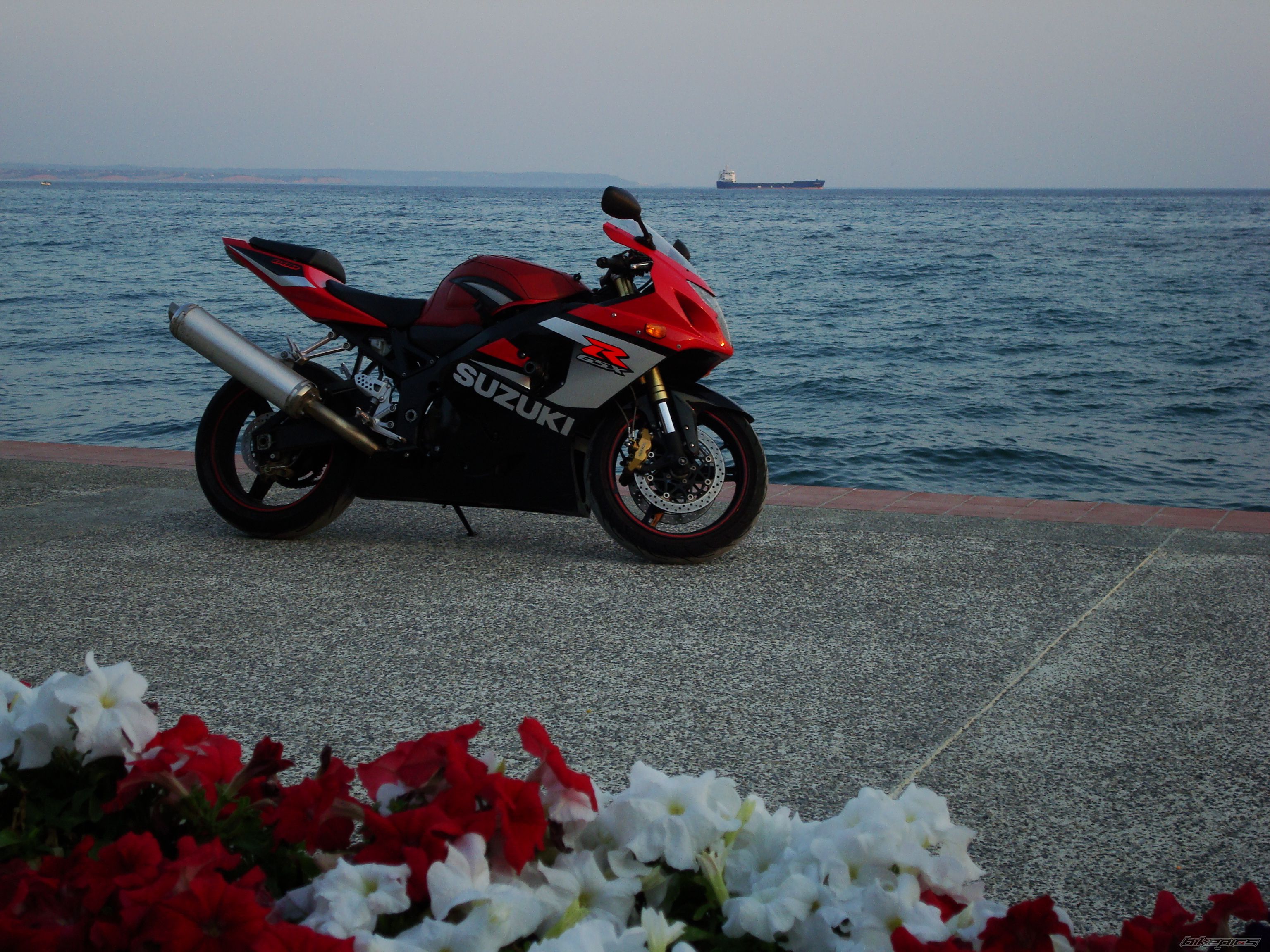 Photo 1732227