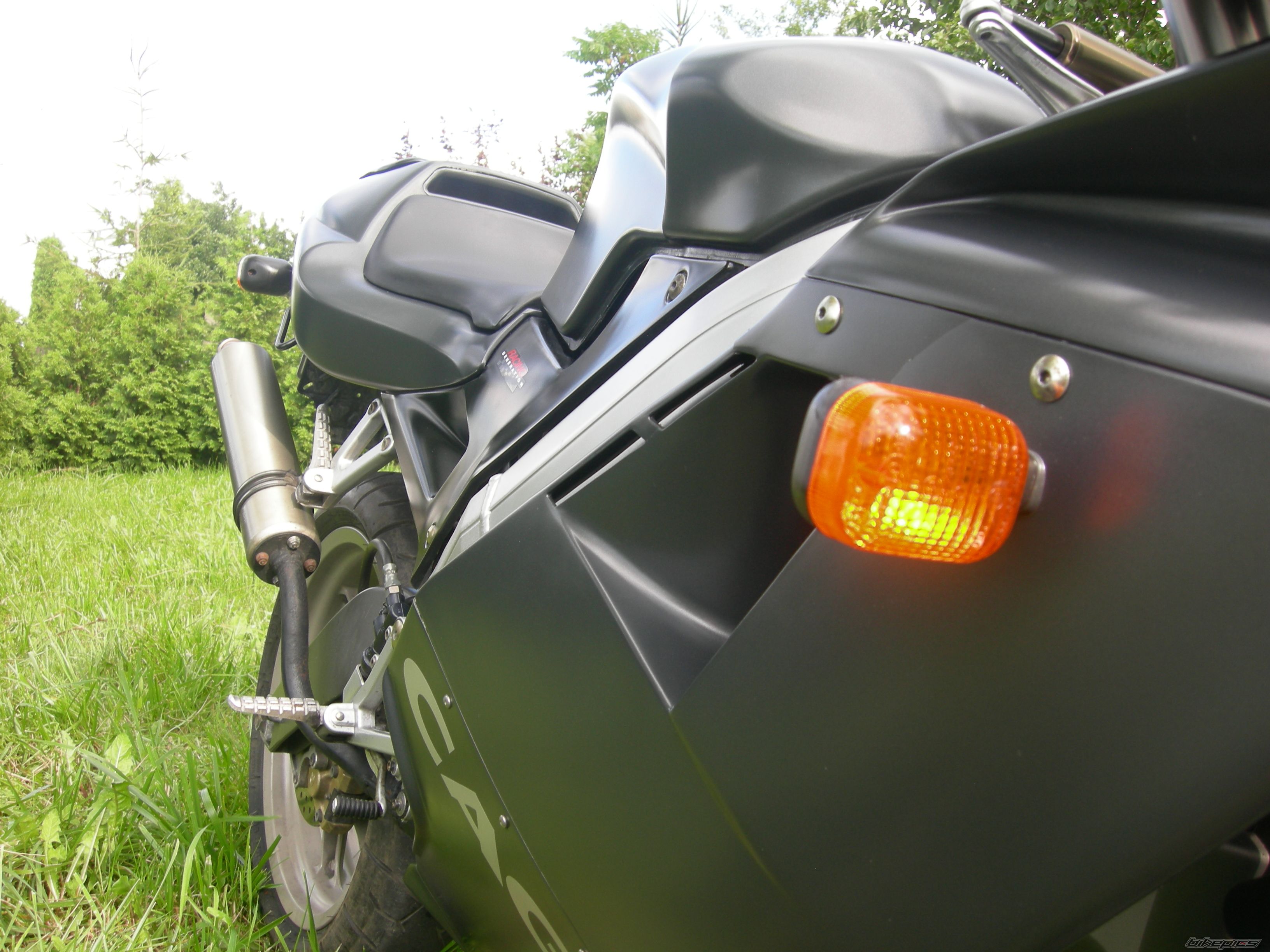 Photo 1732228