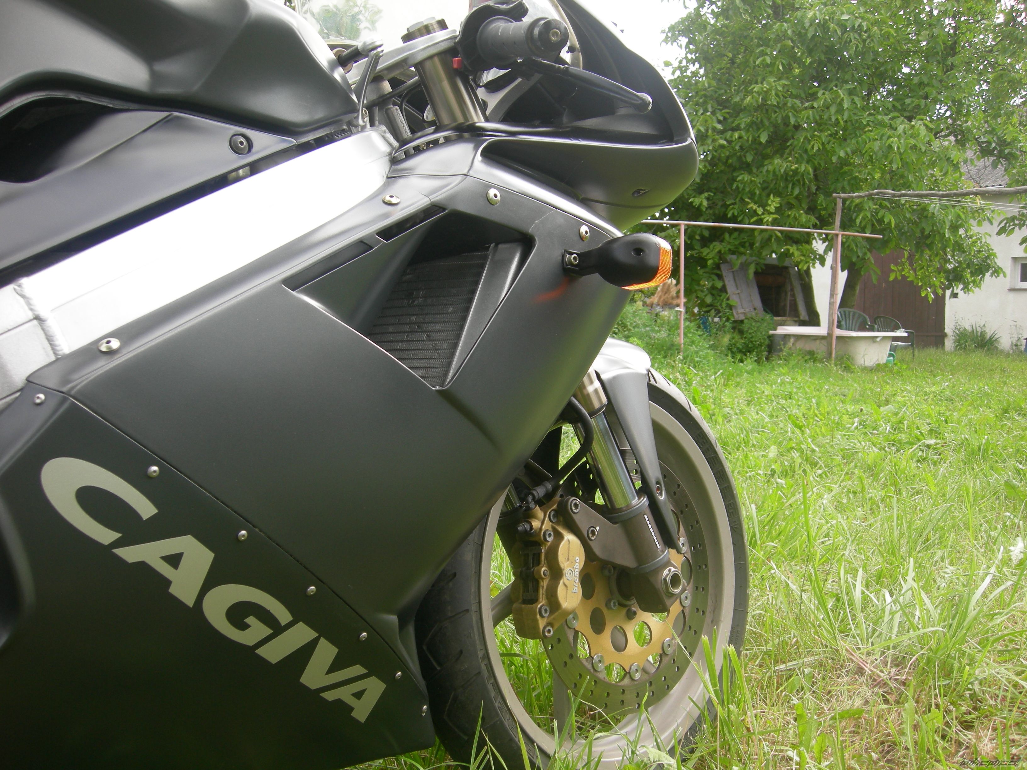 Photo 1732232