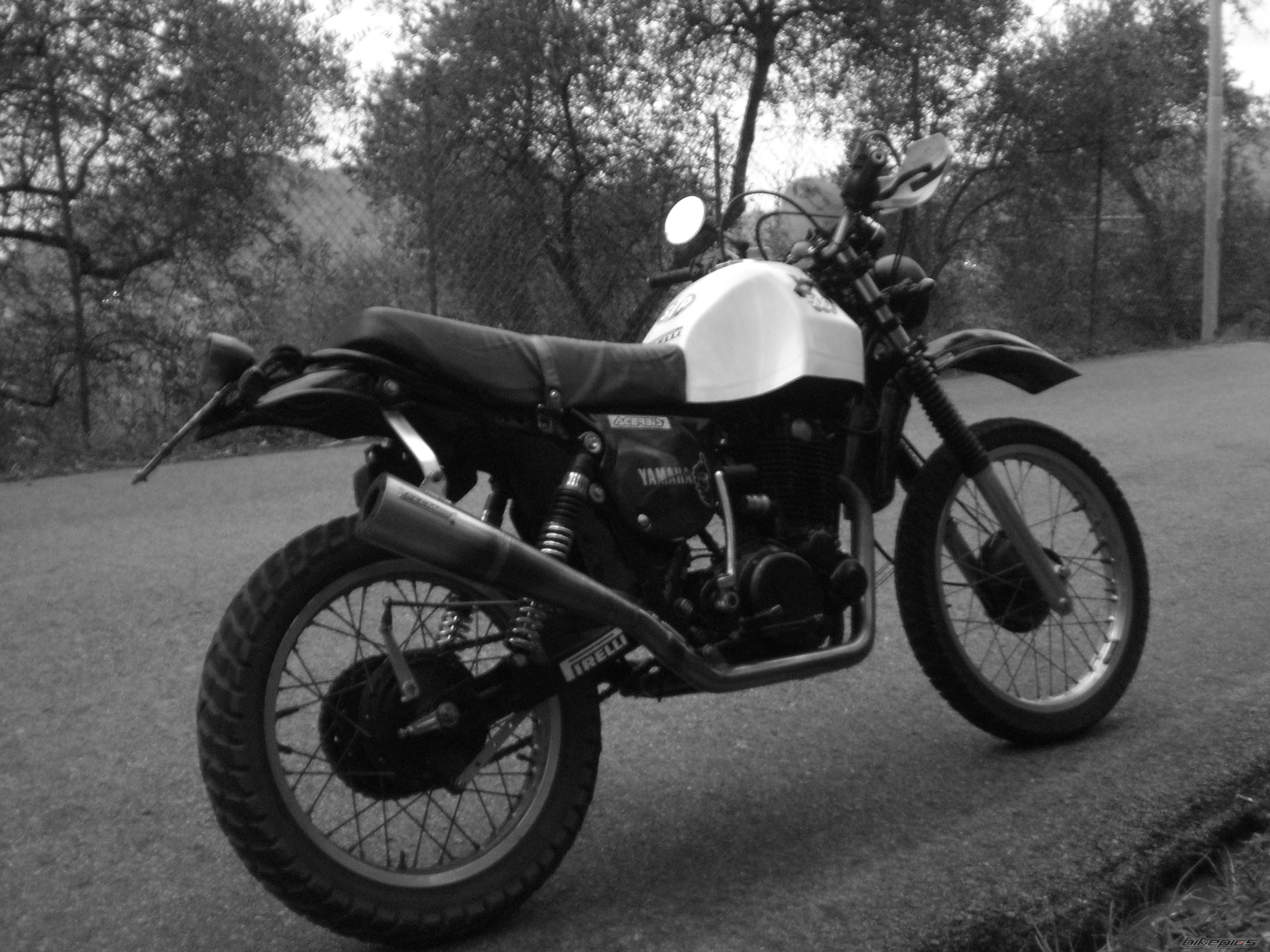 Photo 1732234