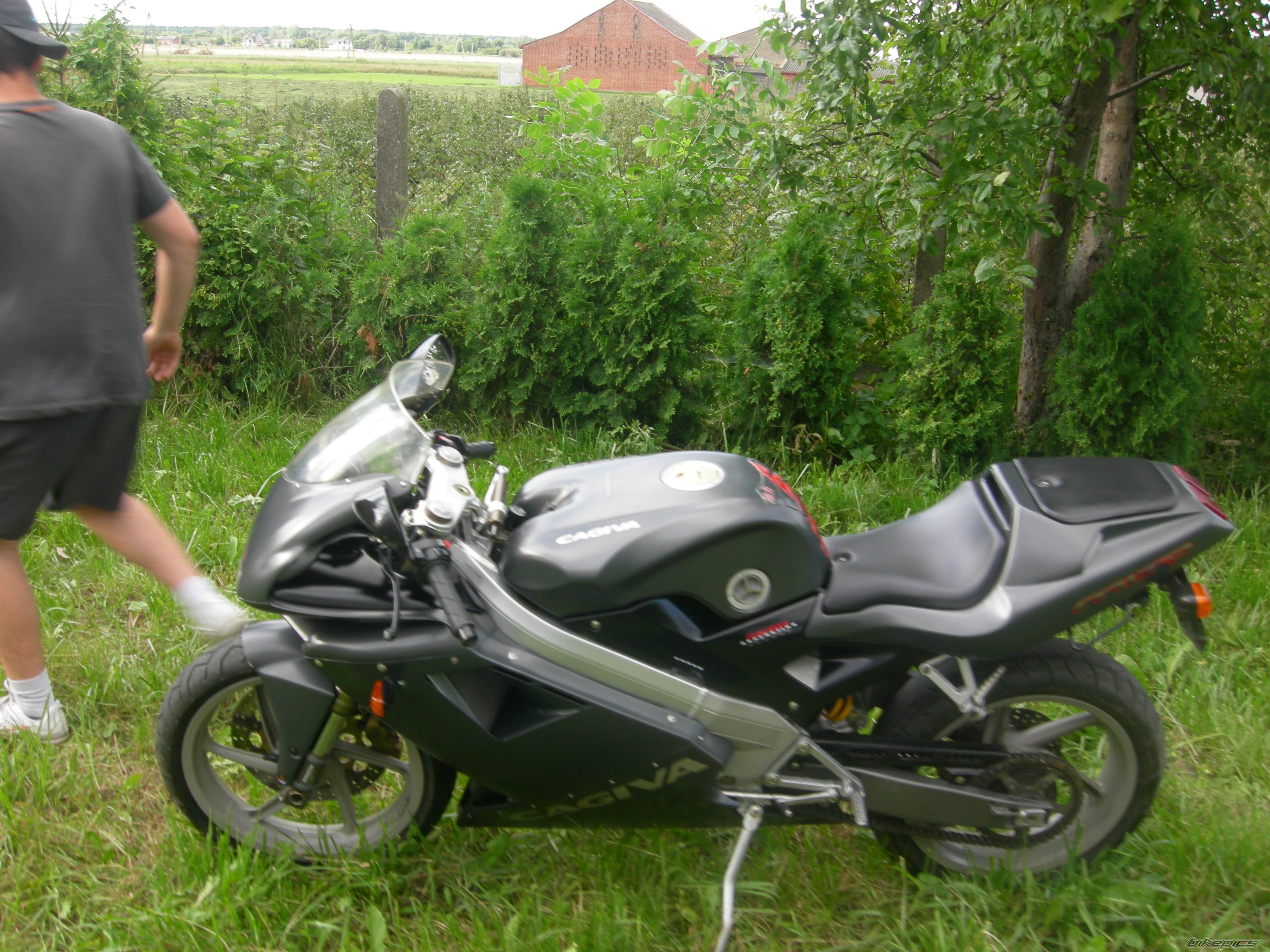 Photo 1732237