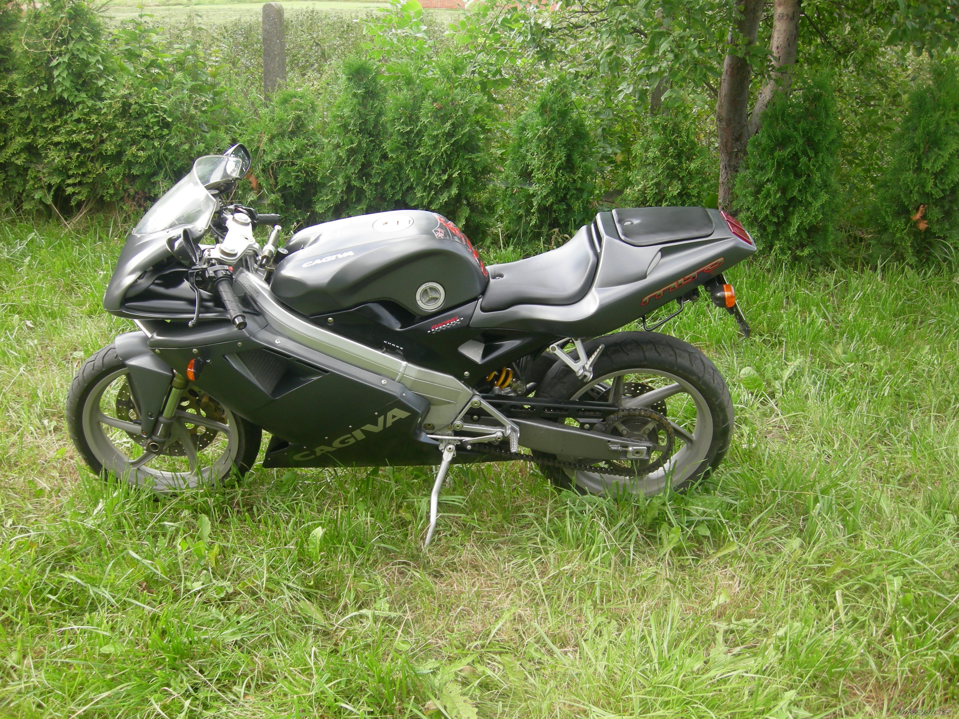 Photo 1732239