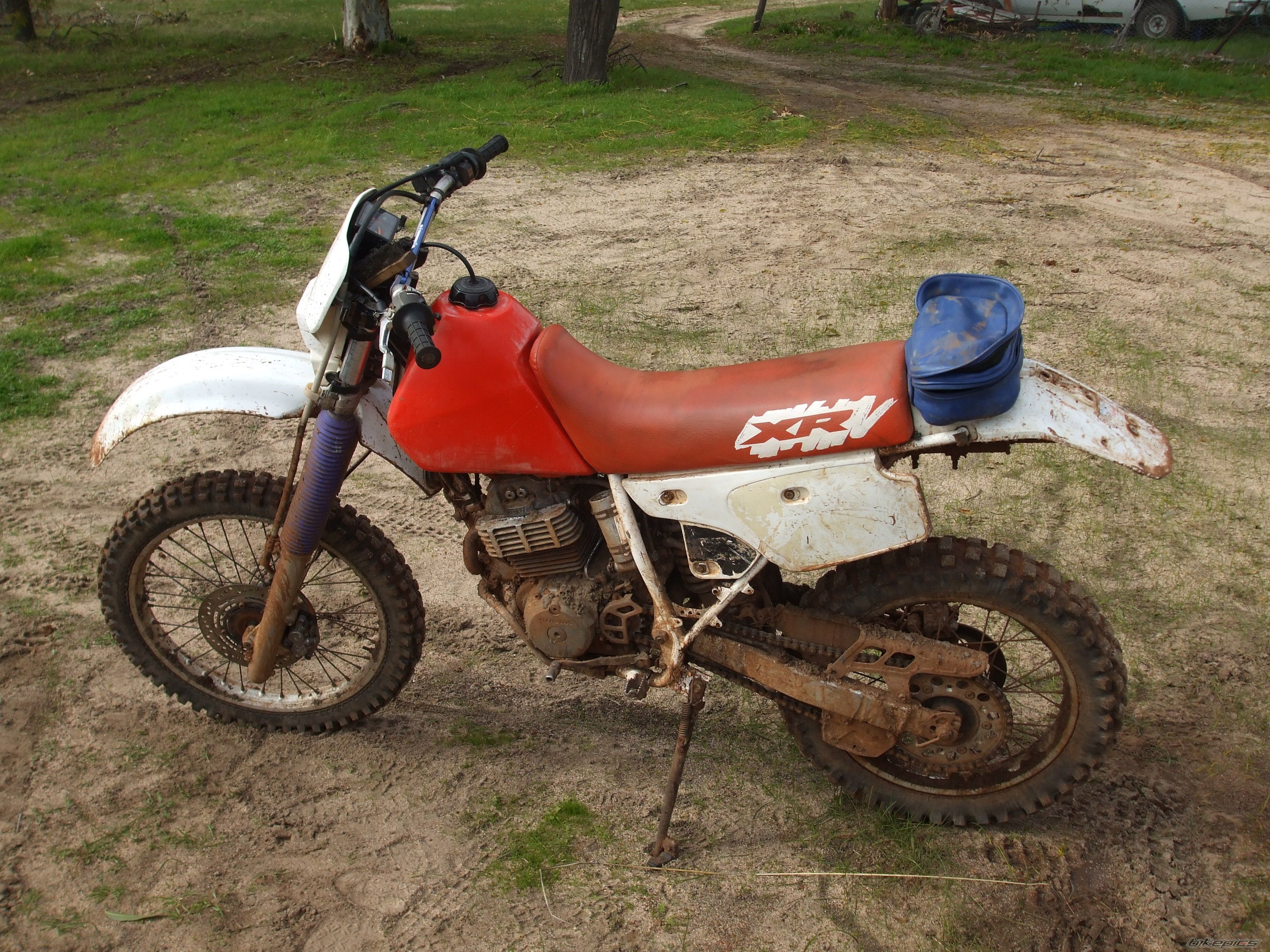 Photo 1732273