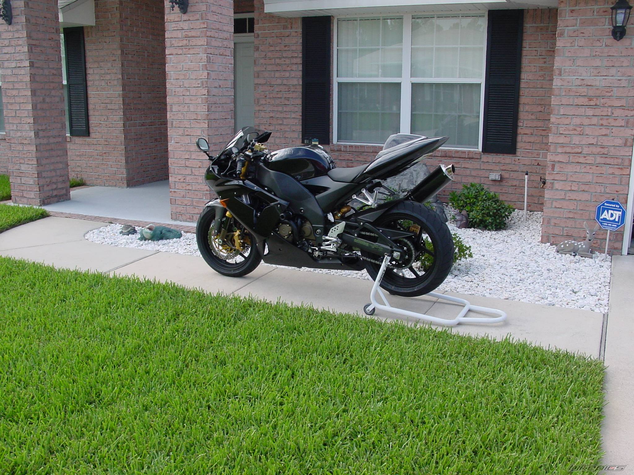 Photo 173231