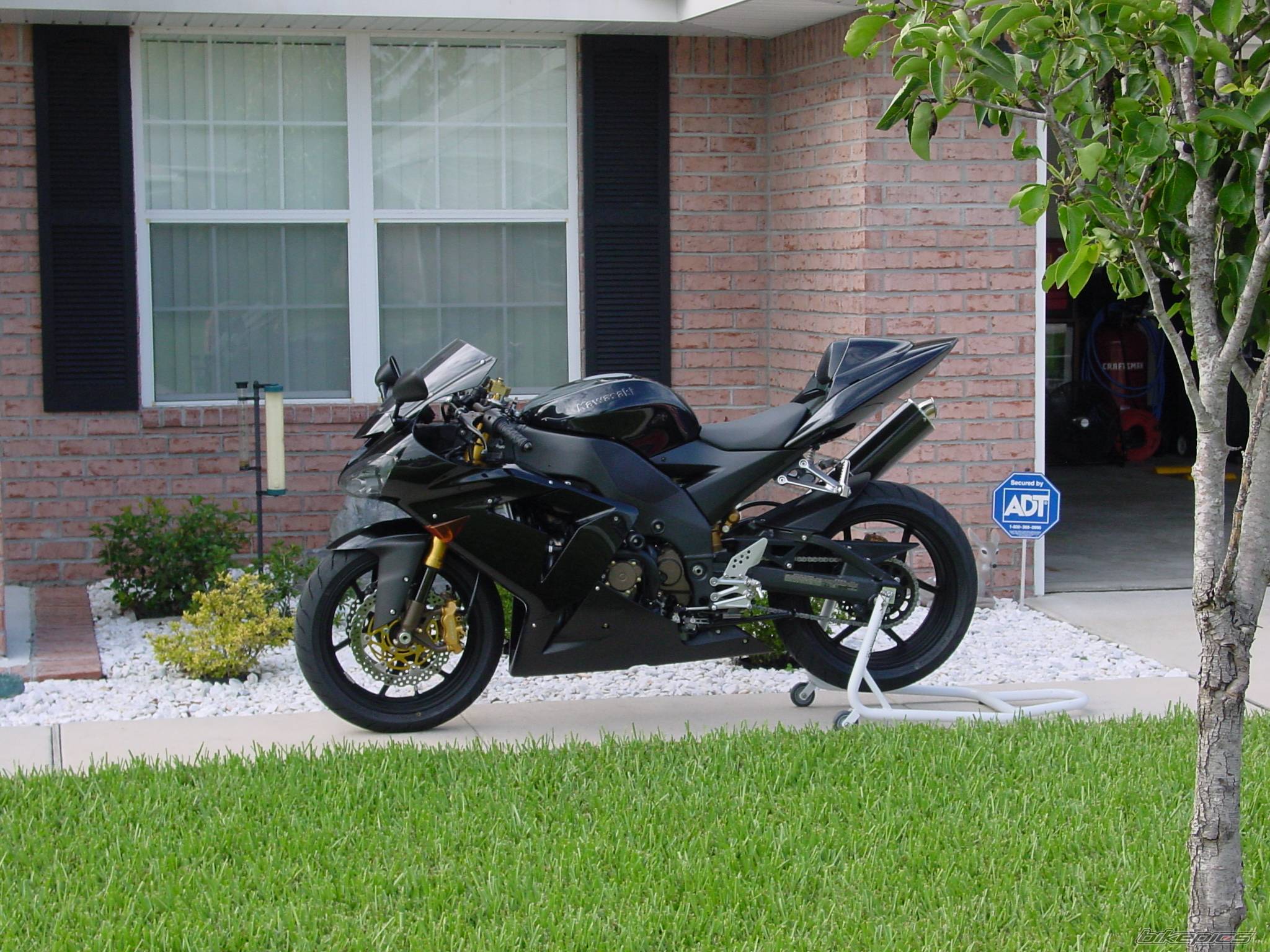 Photo 173234