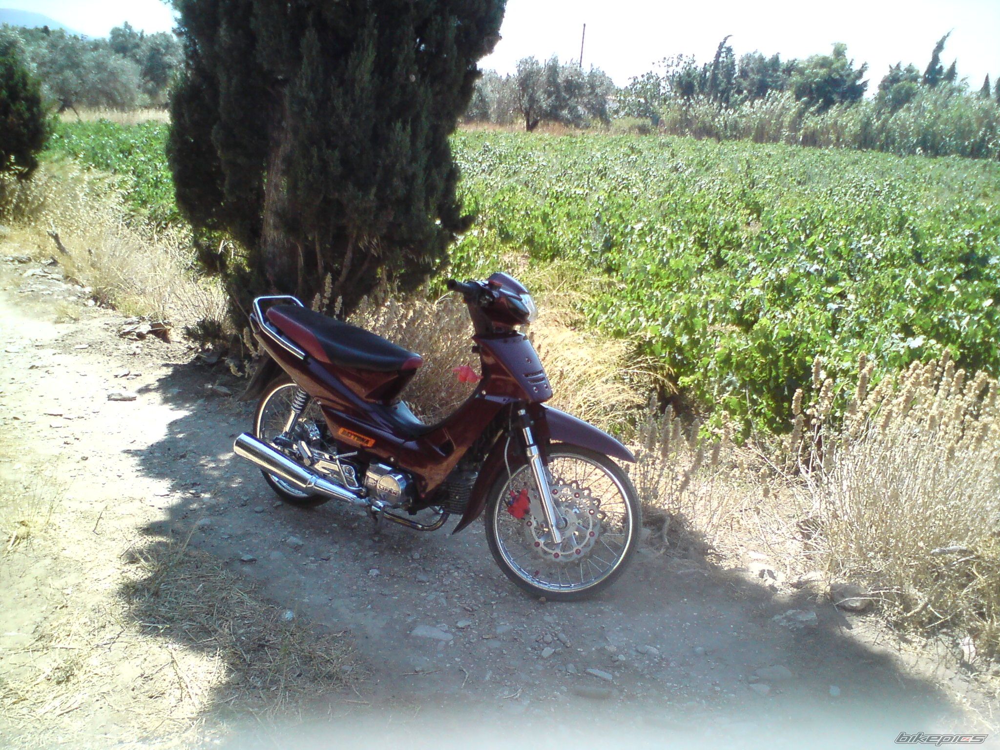Bike Photo 1732381