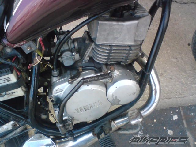 Photo 1732404
