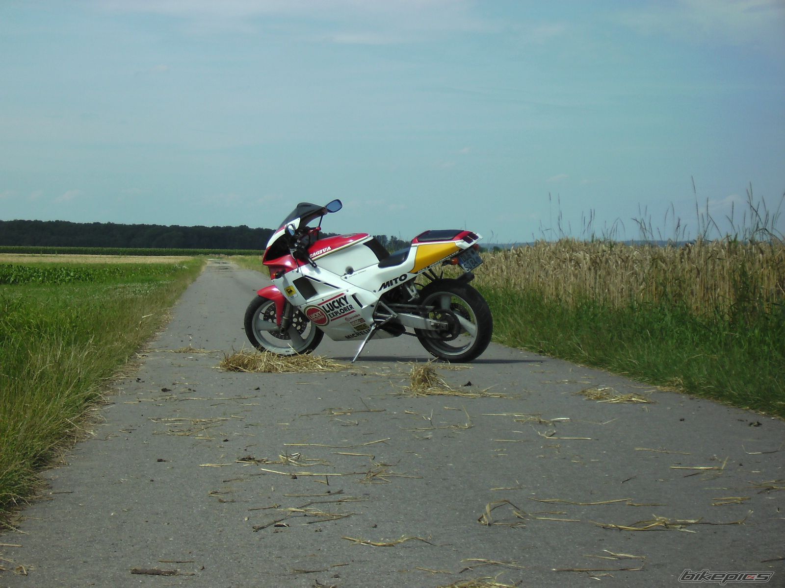 Bike Photo 1732528
