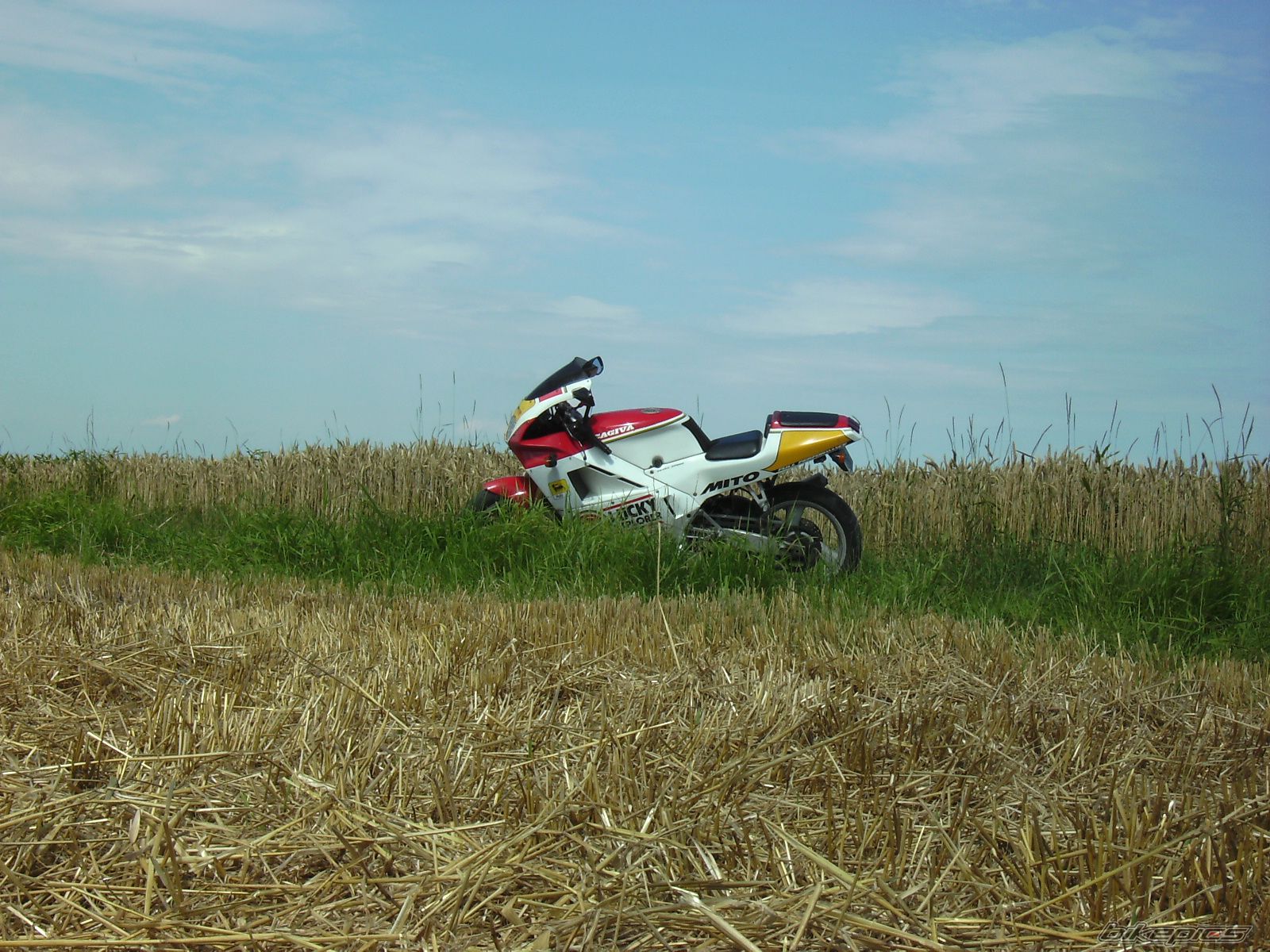 Photo 1732531