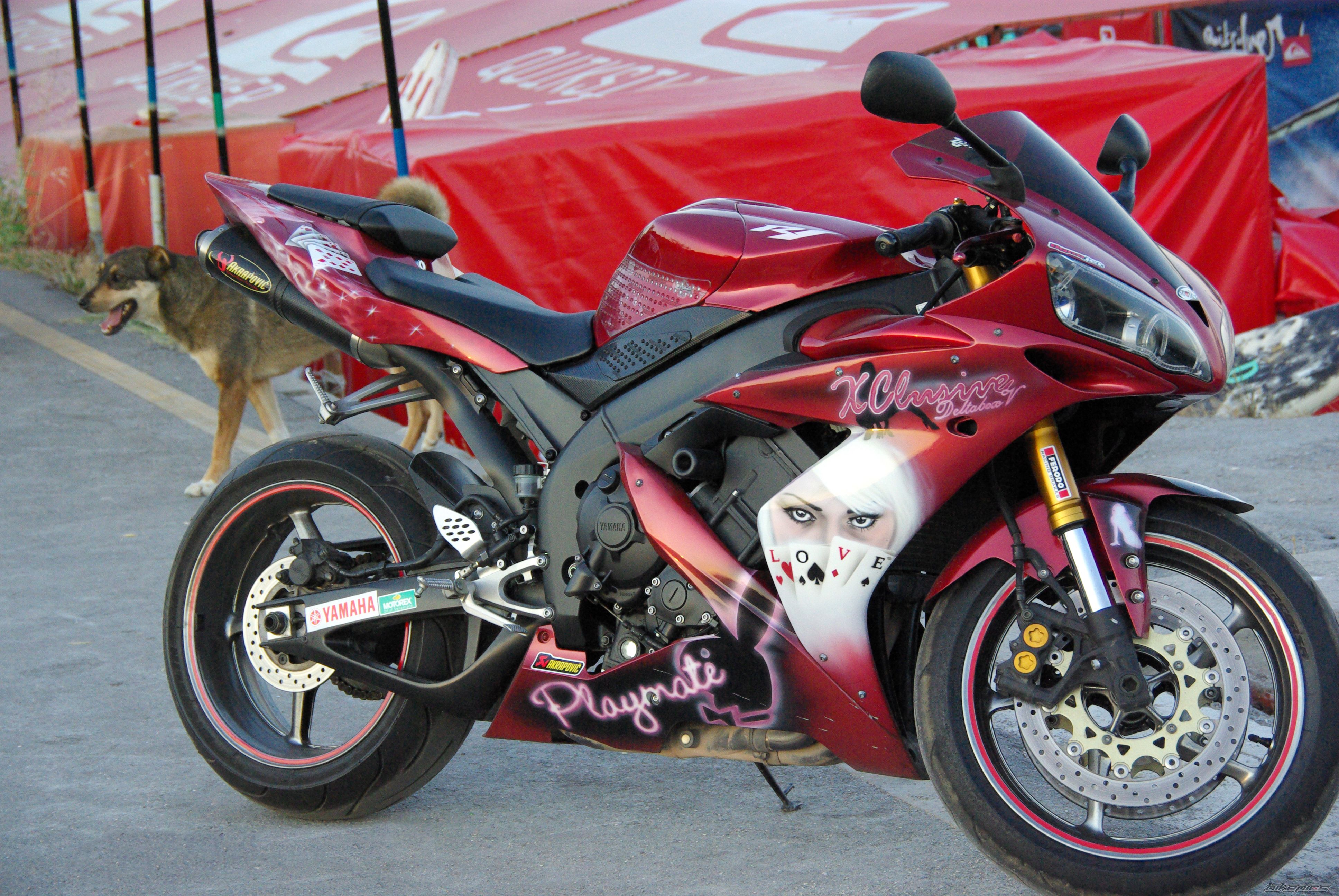 Bike Photo 1732566