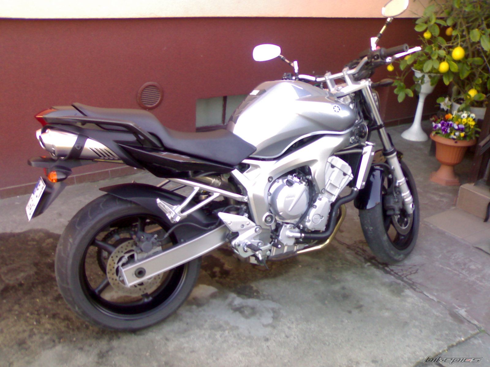 Bike Photo 1732683