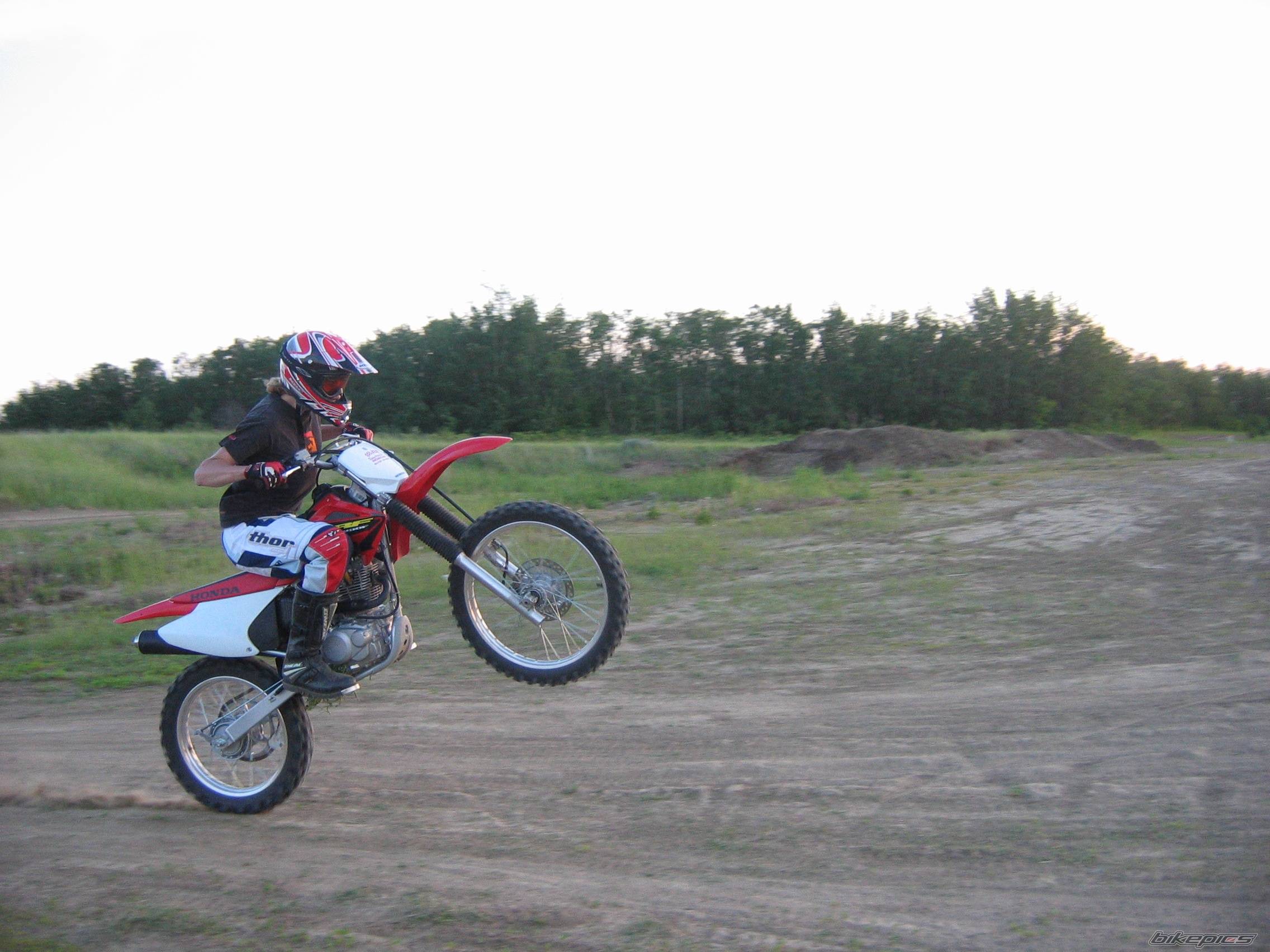Photo 173270