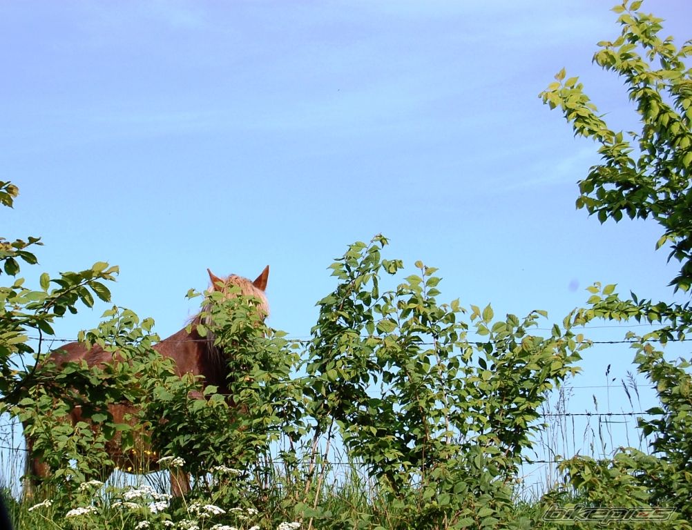 Photo 1732792
