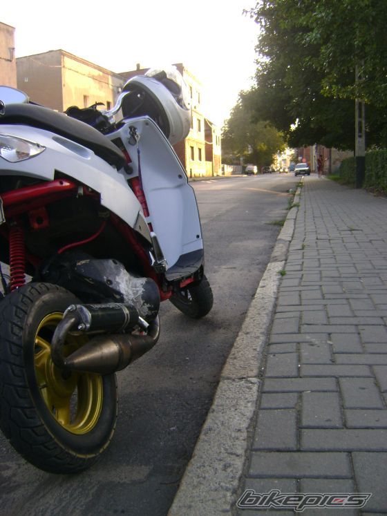 Photo 1733013