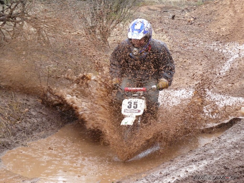 Photo 1733014
