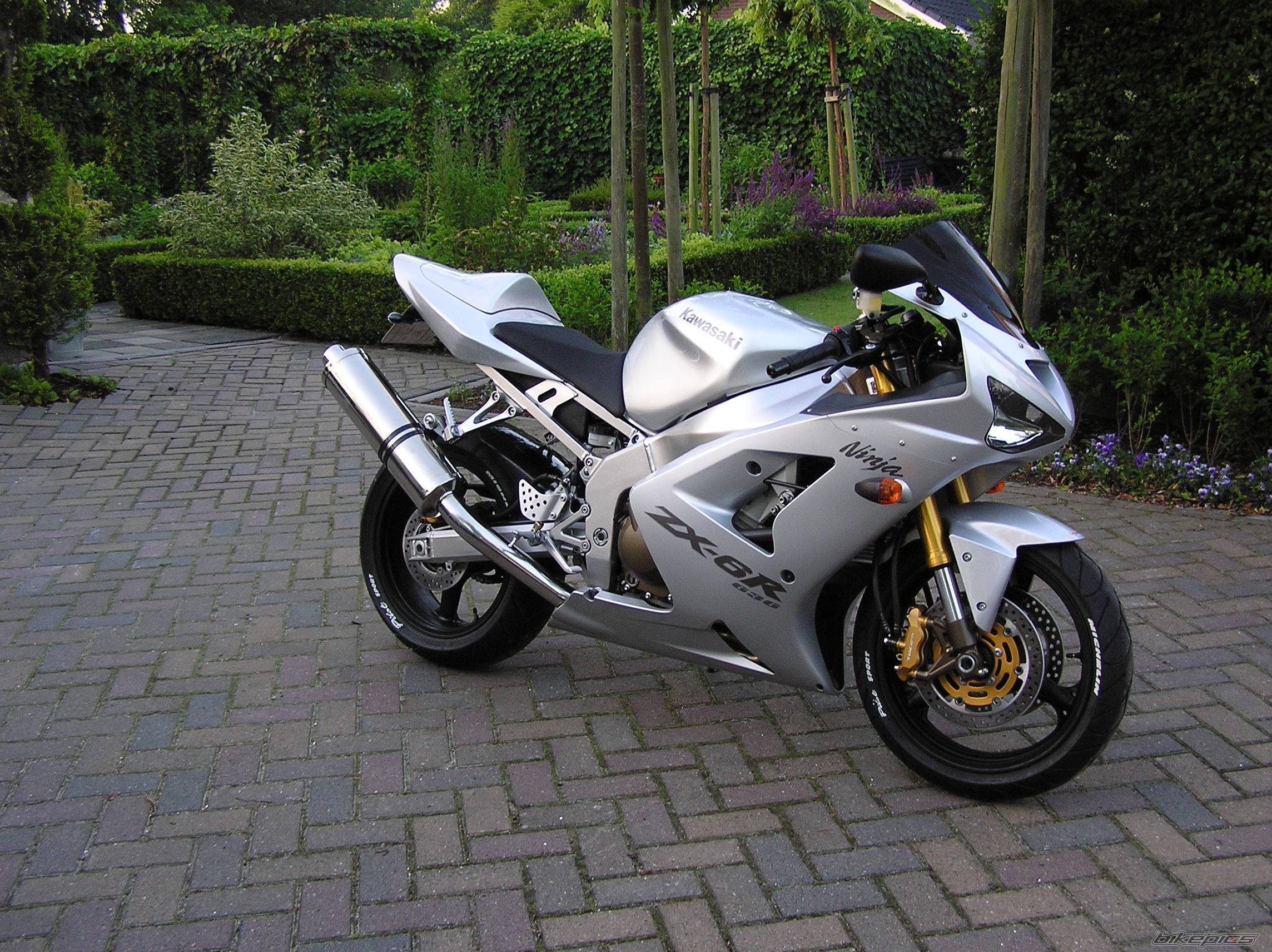 Photo 173305