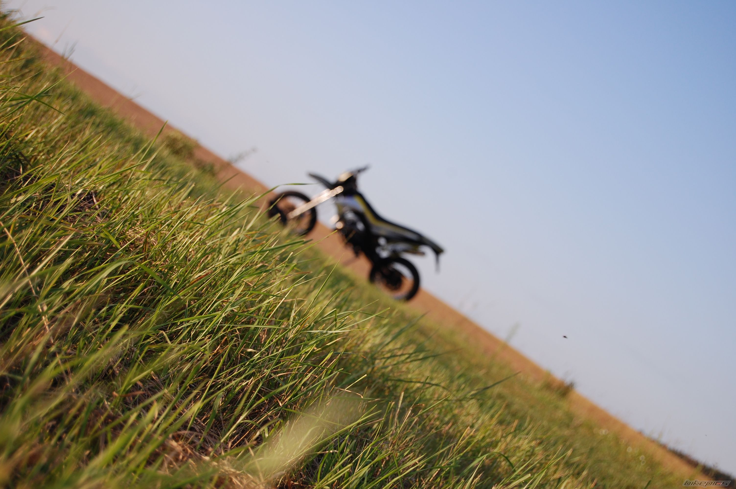Photo 1733058