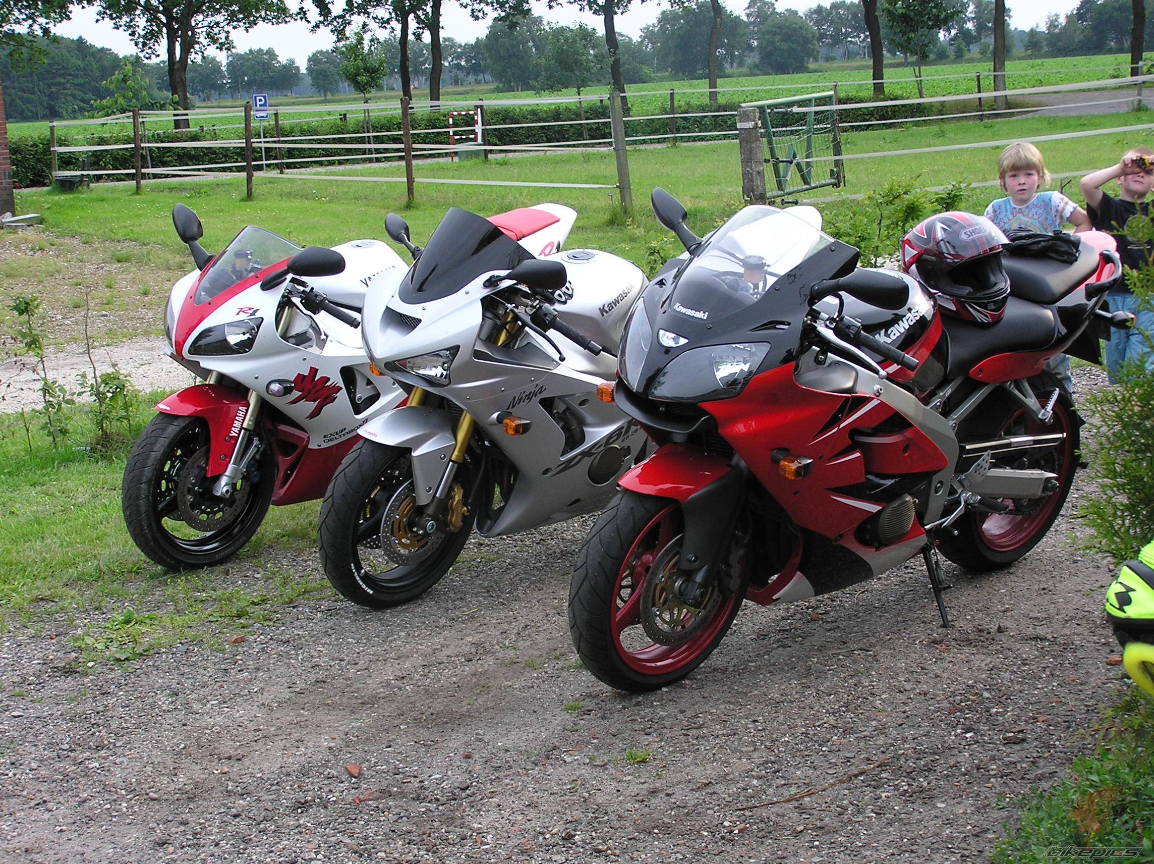 Photo 173314