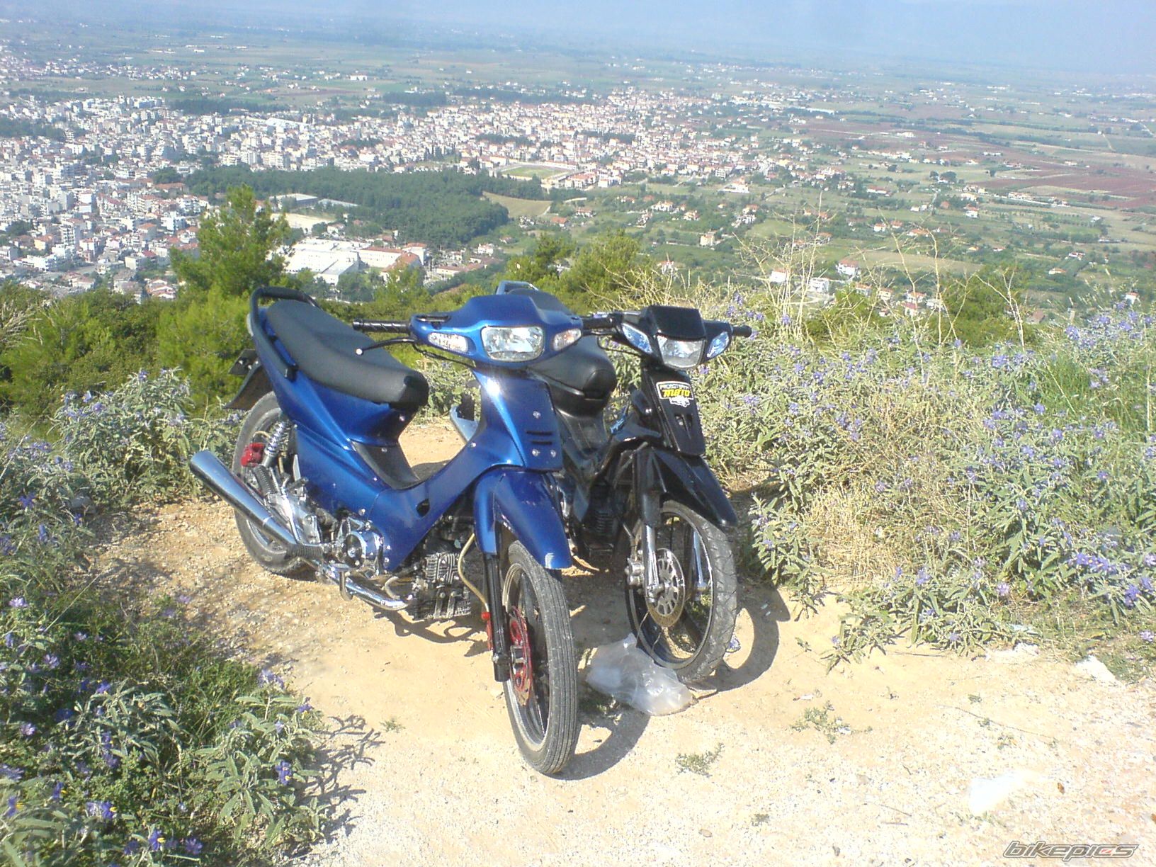 Photo 1733156