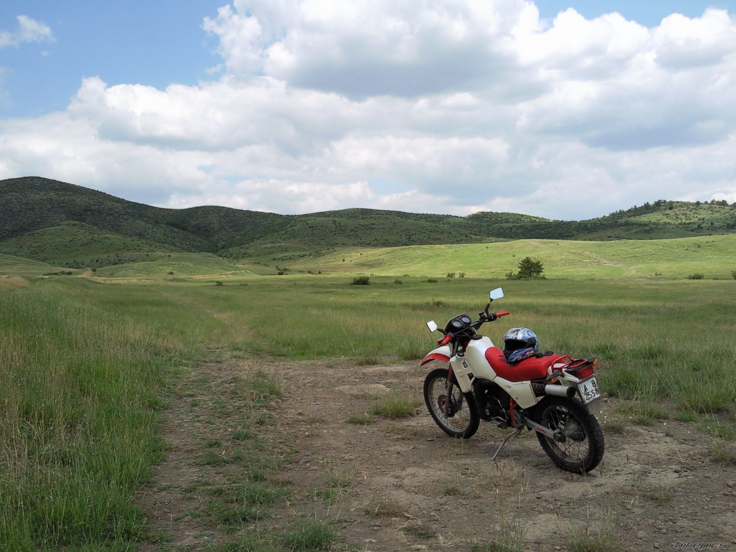 Photo 1733225