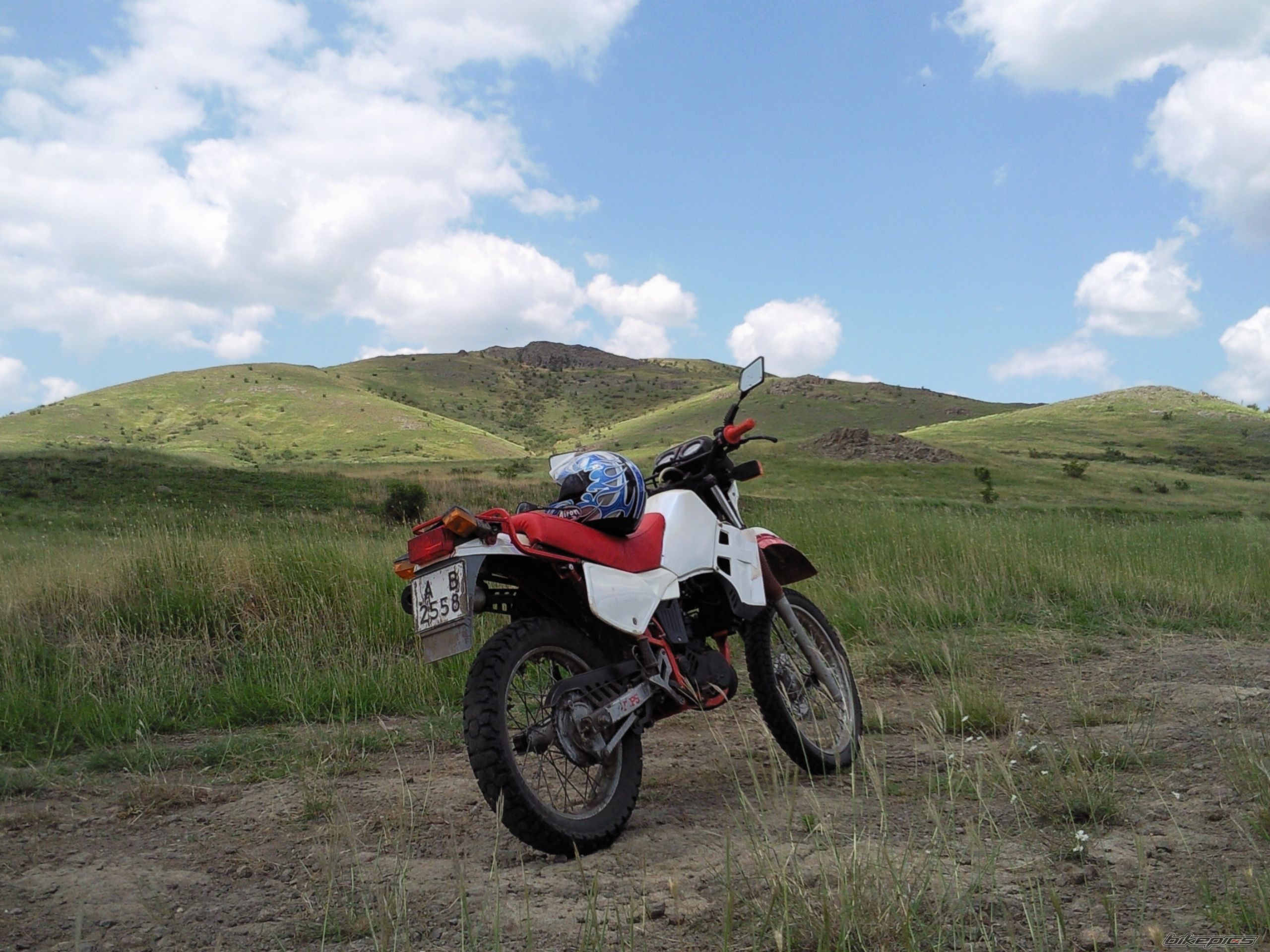 Photo 1733226