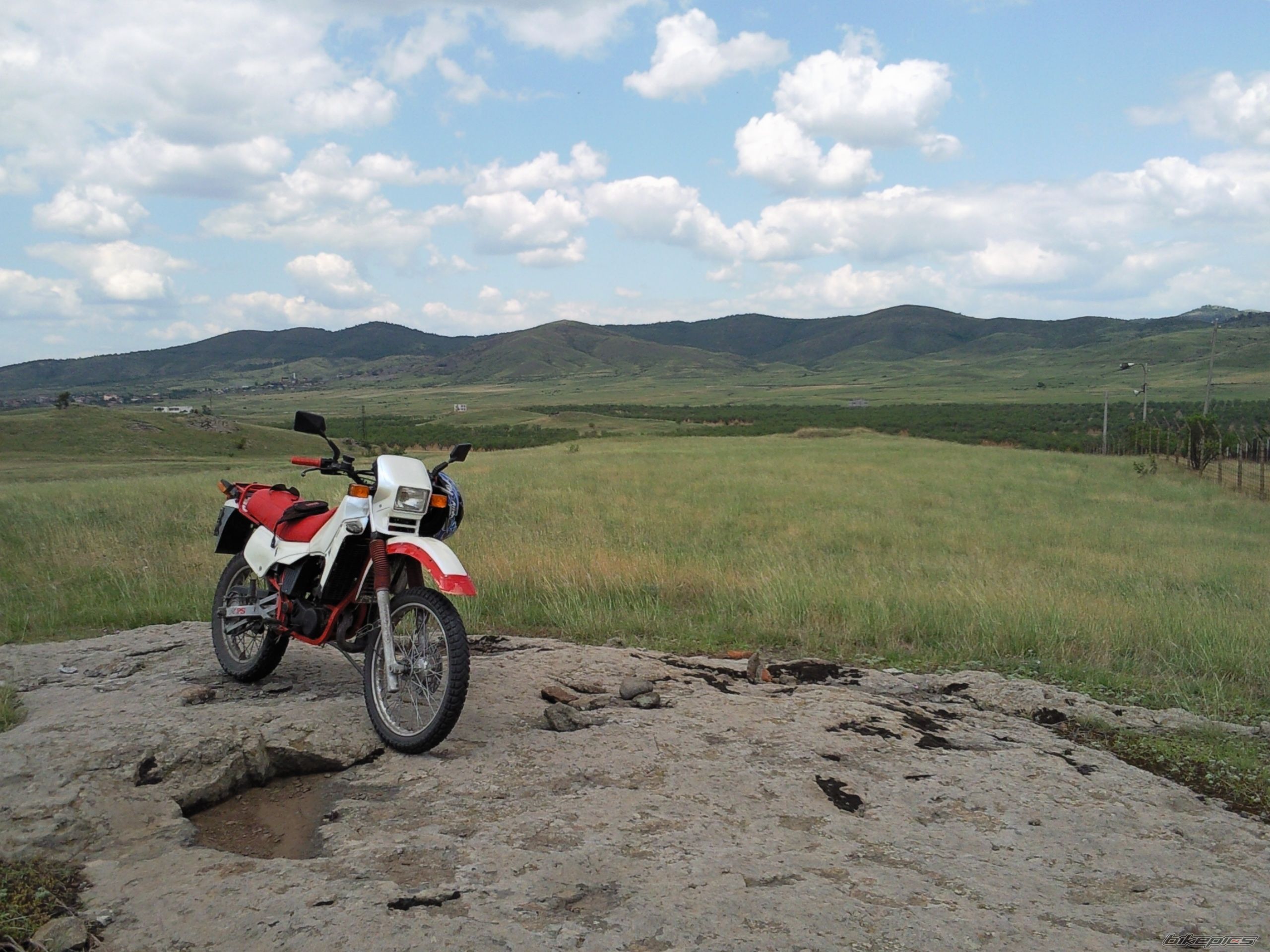 Photo 1733227