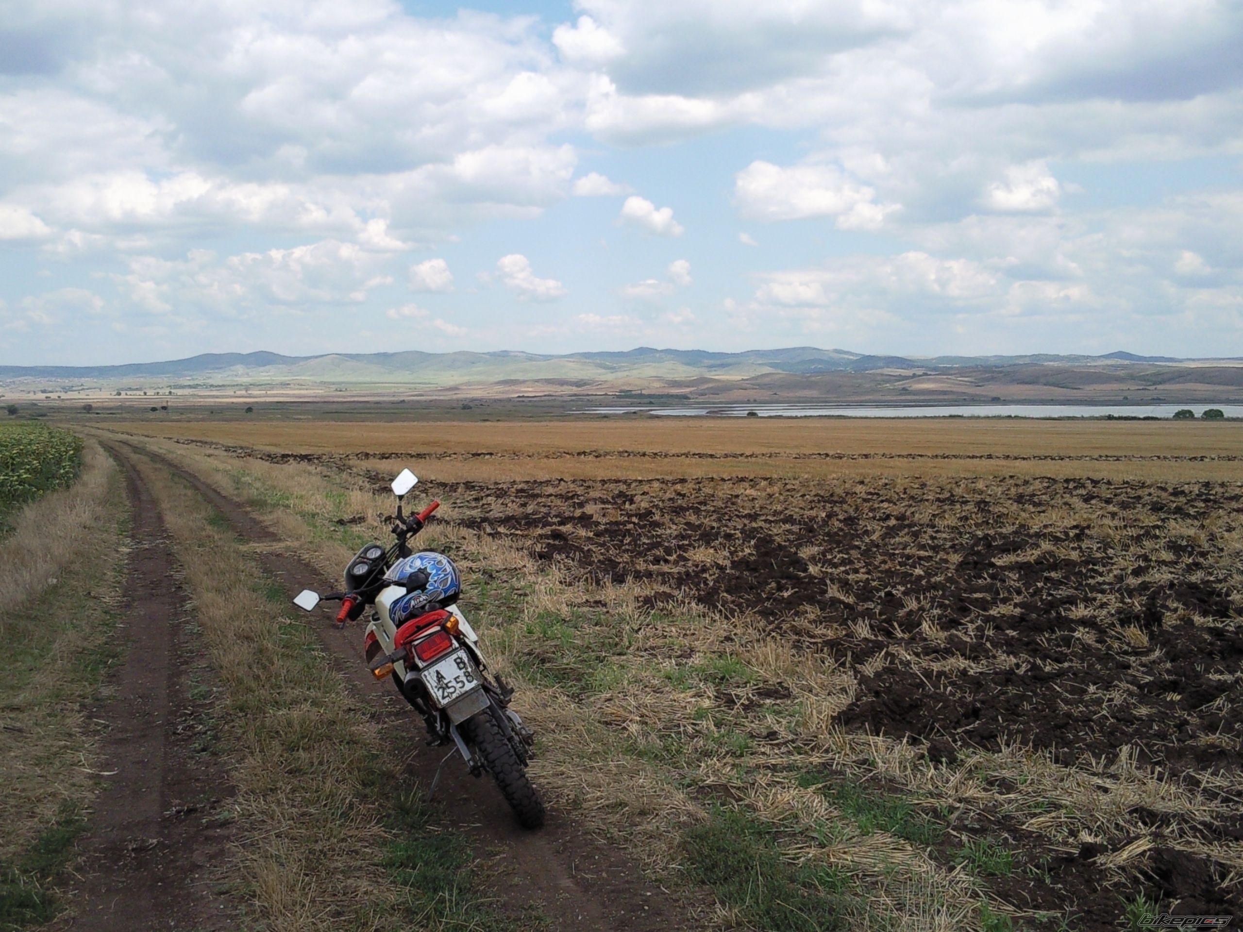 Photo 1733228