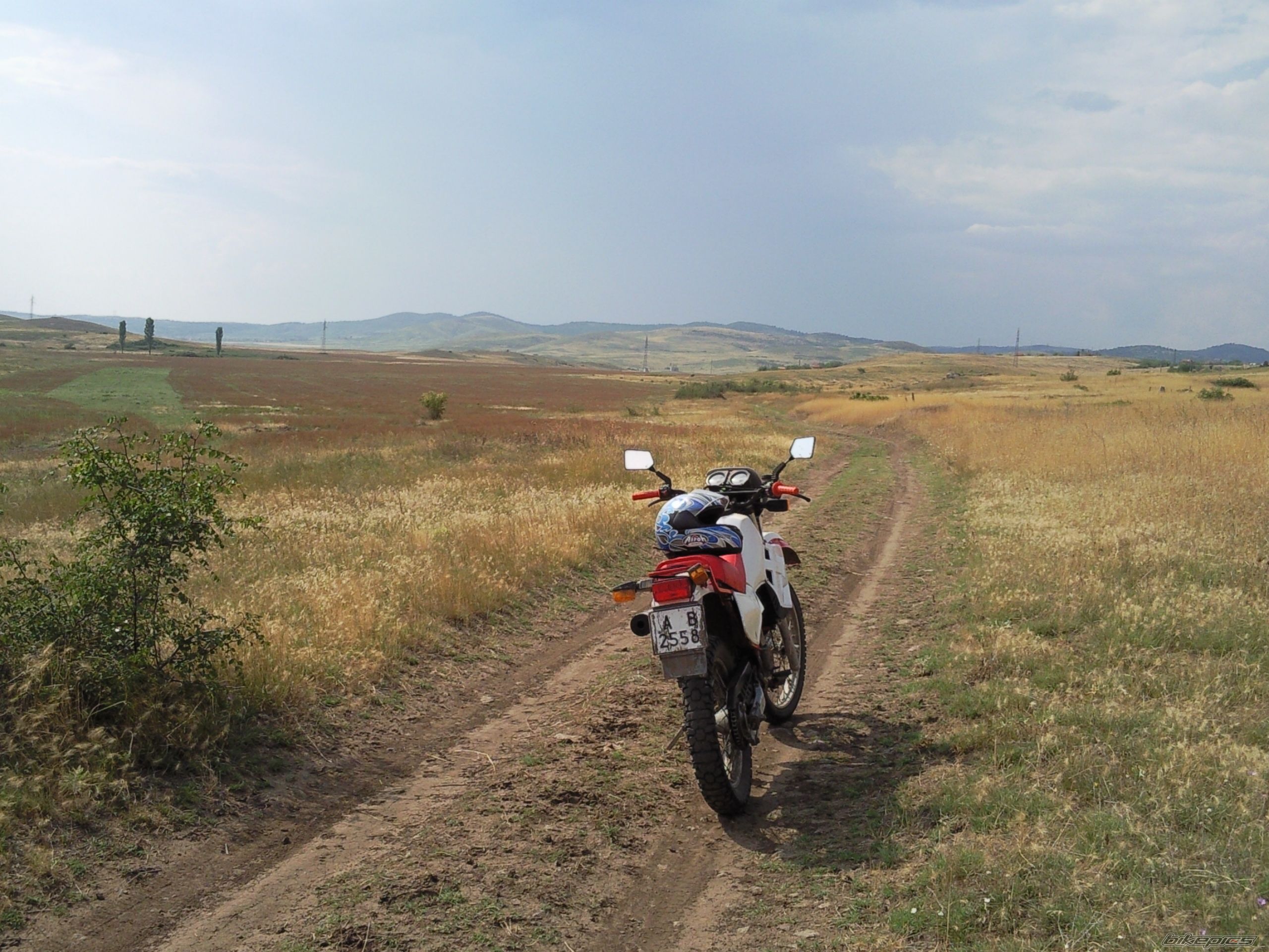 Photo 1733230