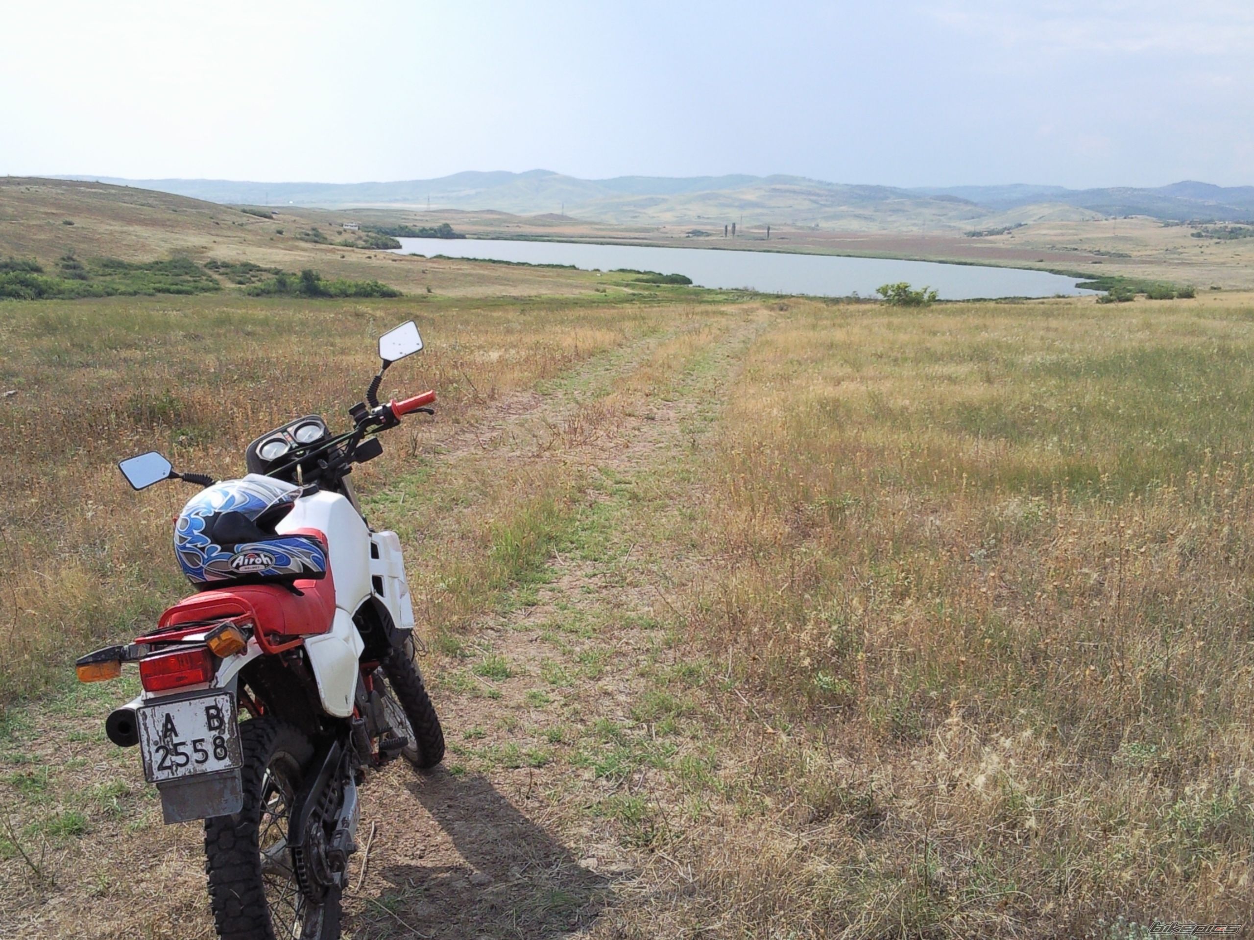 Photo 1733233