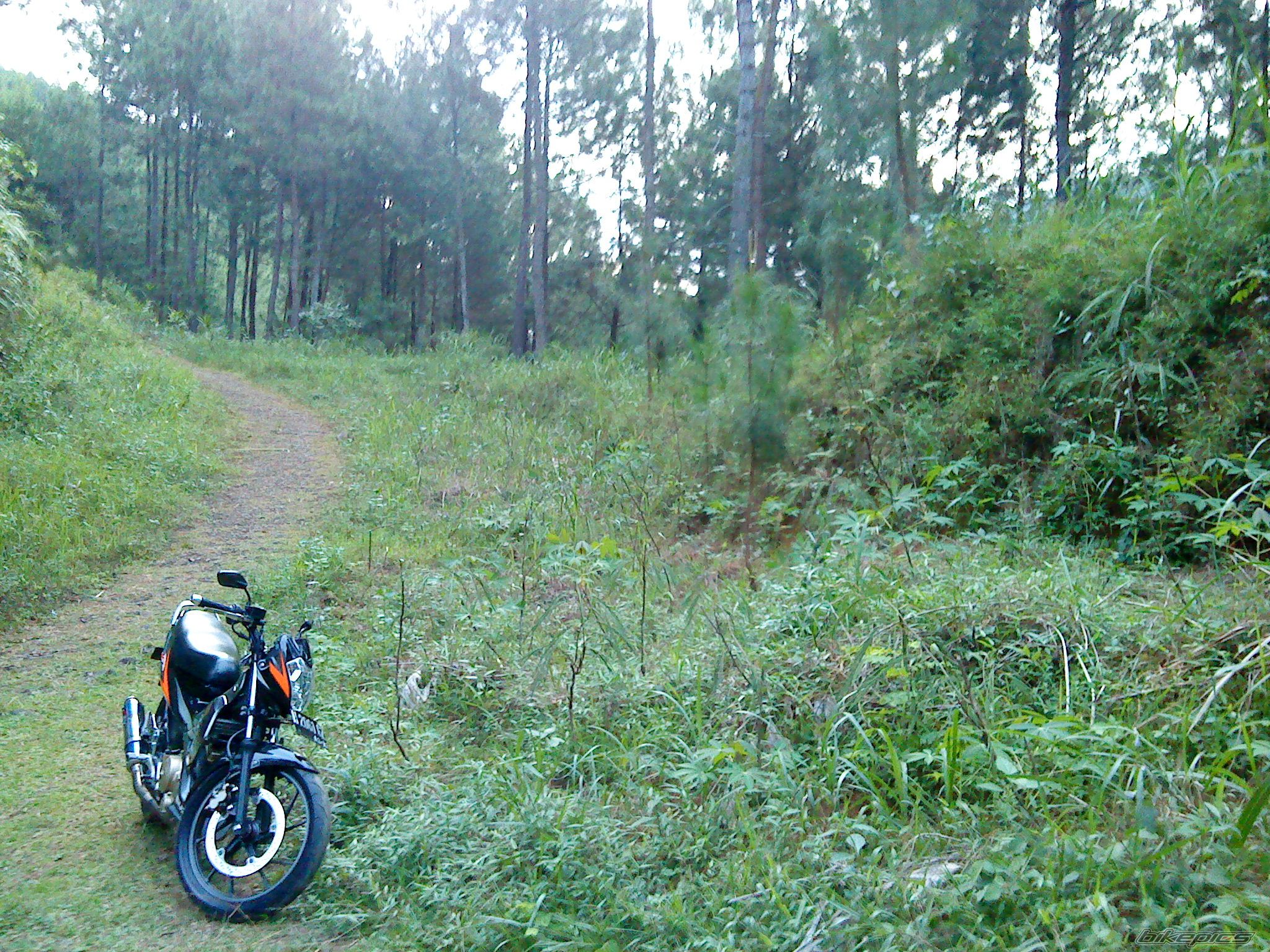 Photo 1733269