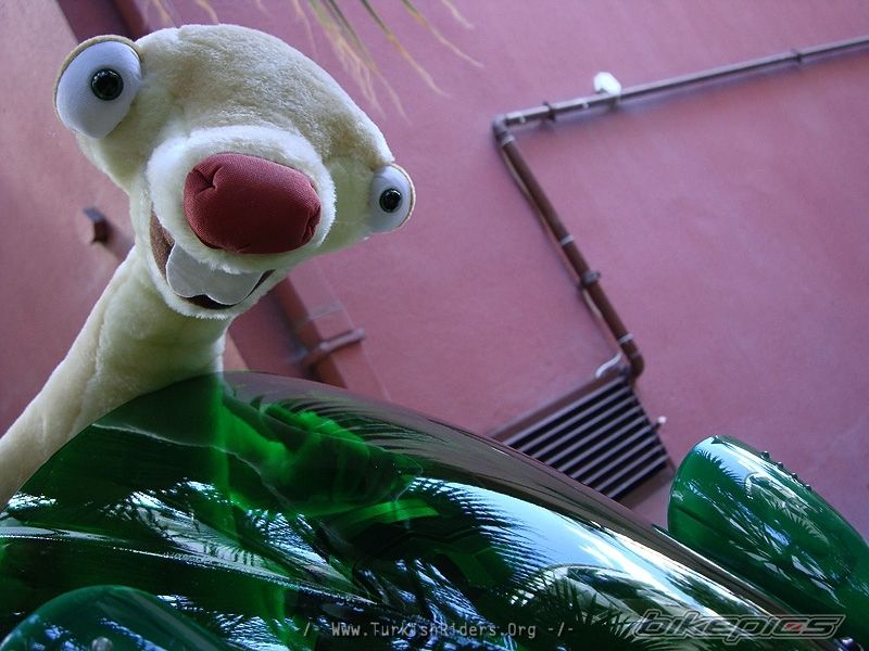 Photo 1733295