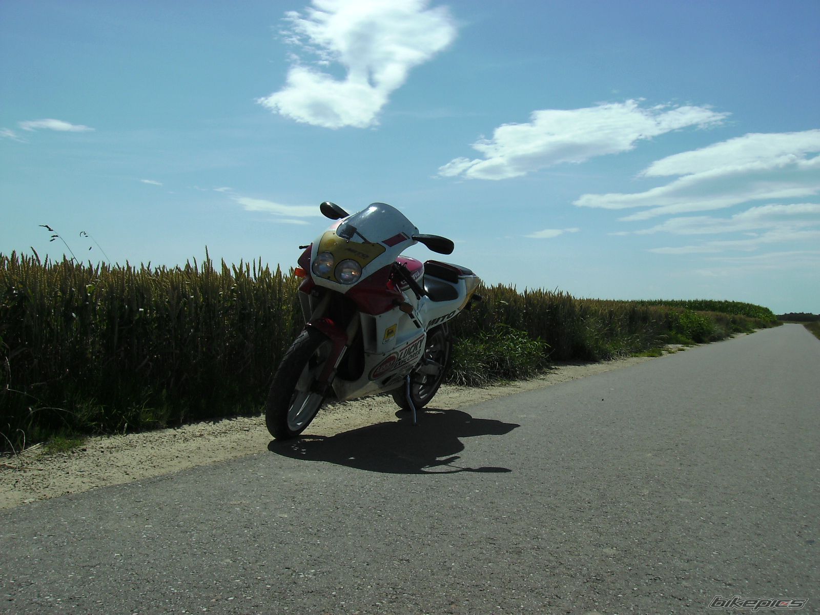 Bike Photo 1733411