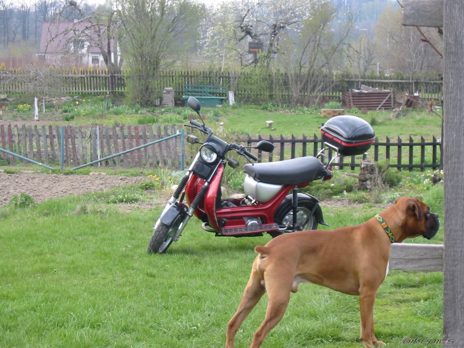 Bike Photo 173344