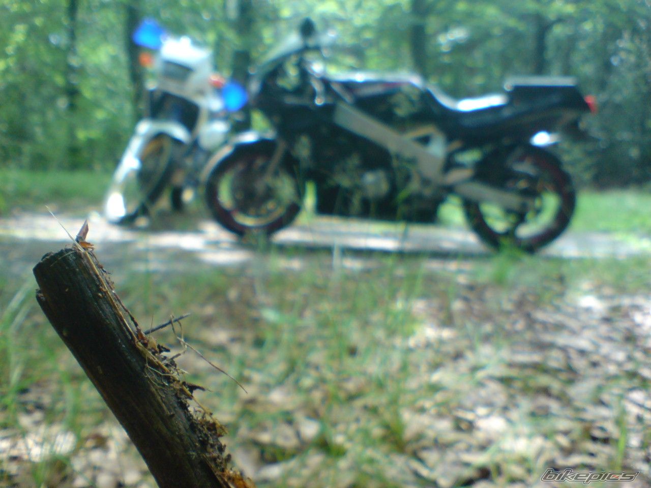 Bike Photo 1733440