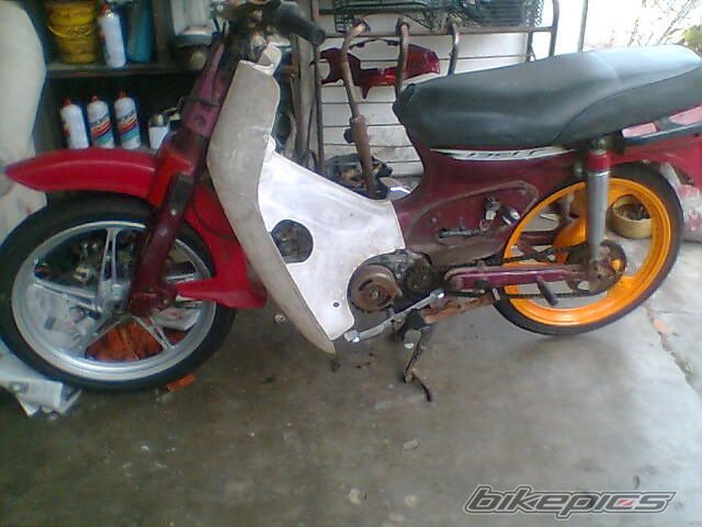 Photo 1733480