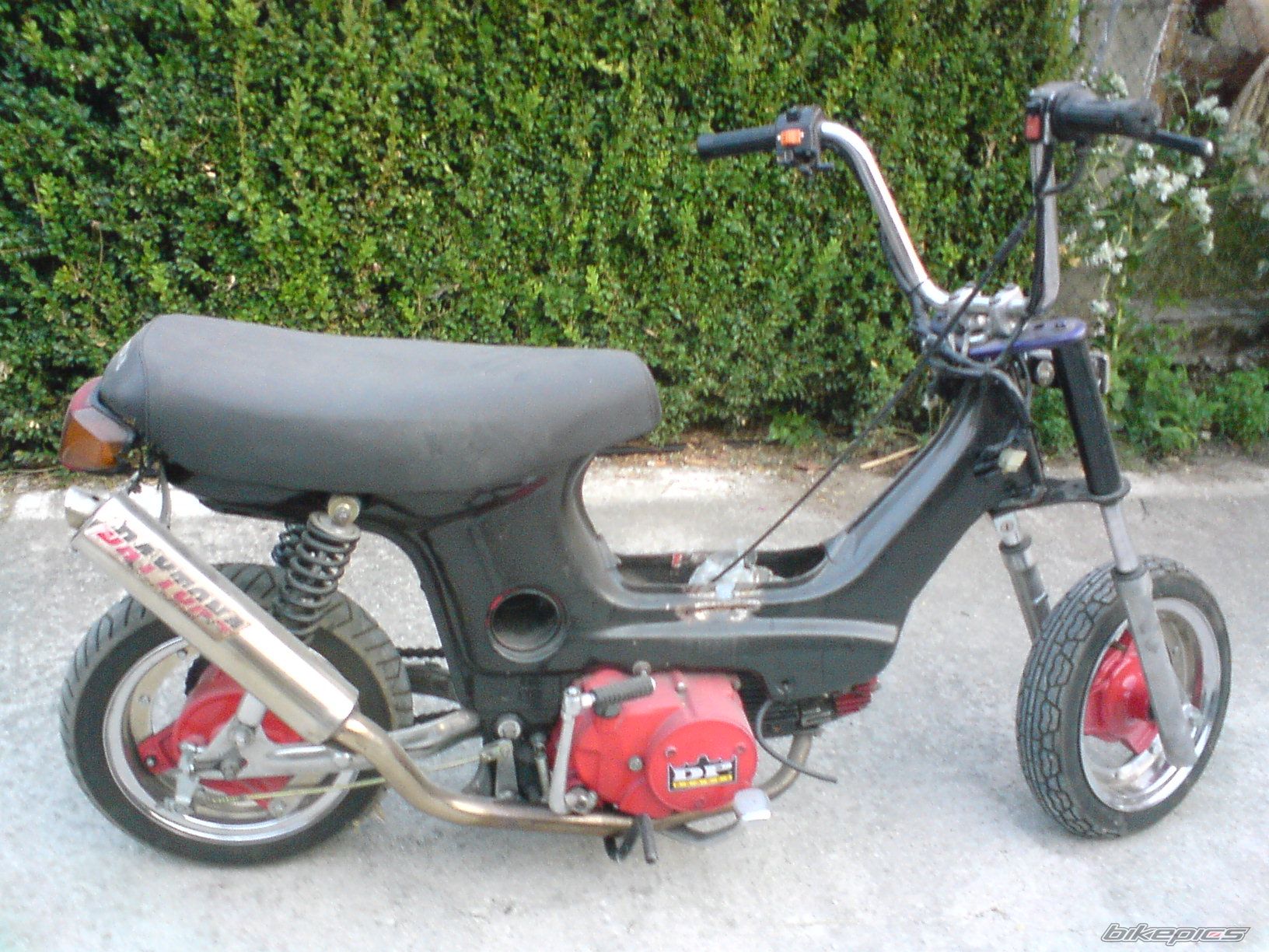 Photo 1733609