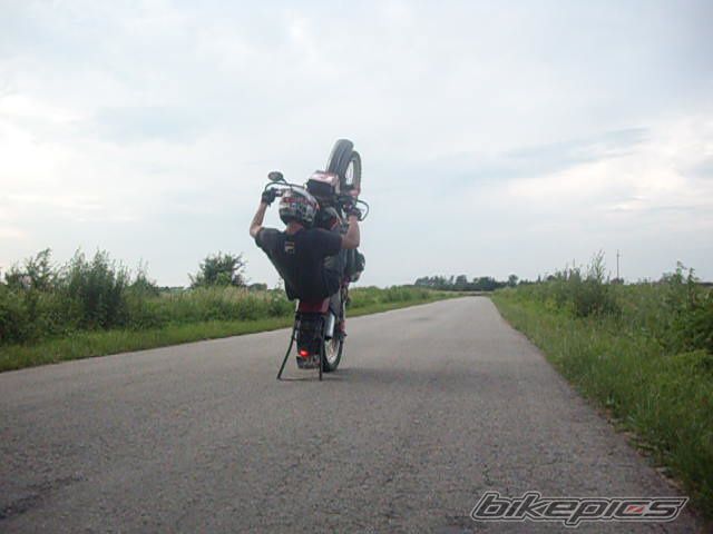 Photo 1733611