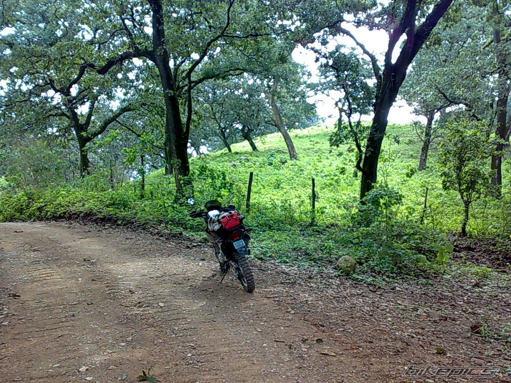 Photo 1733764